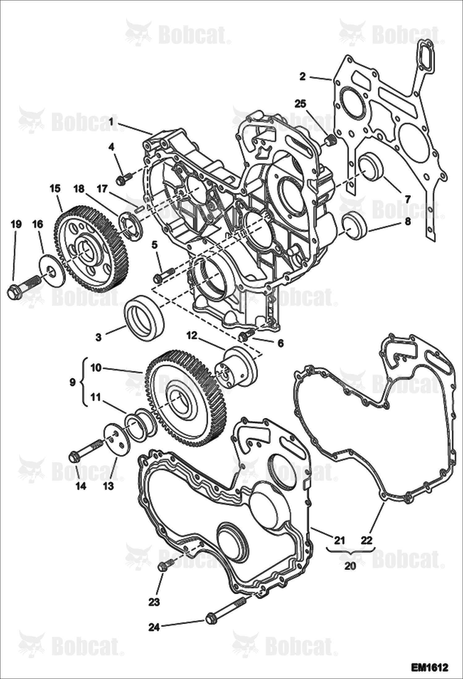 Timing Gear