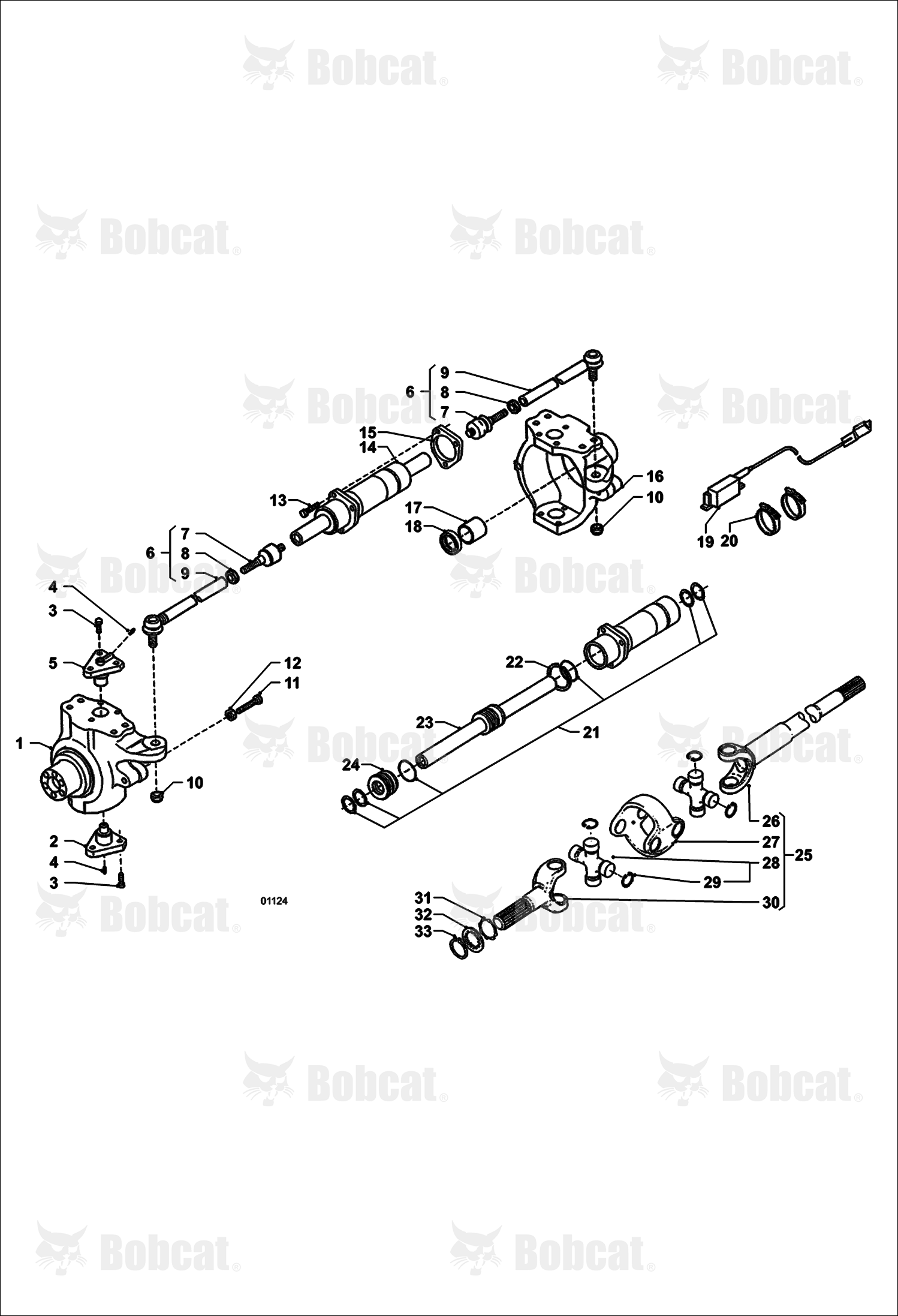 Rear Axle - Pivot - Cylinder