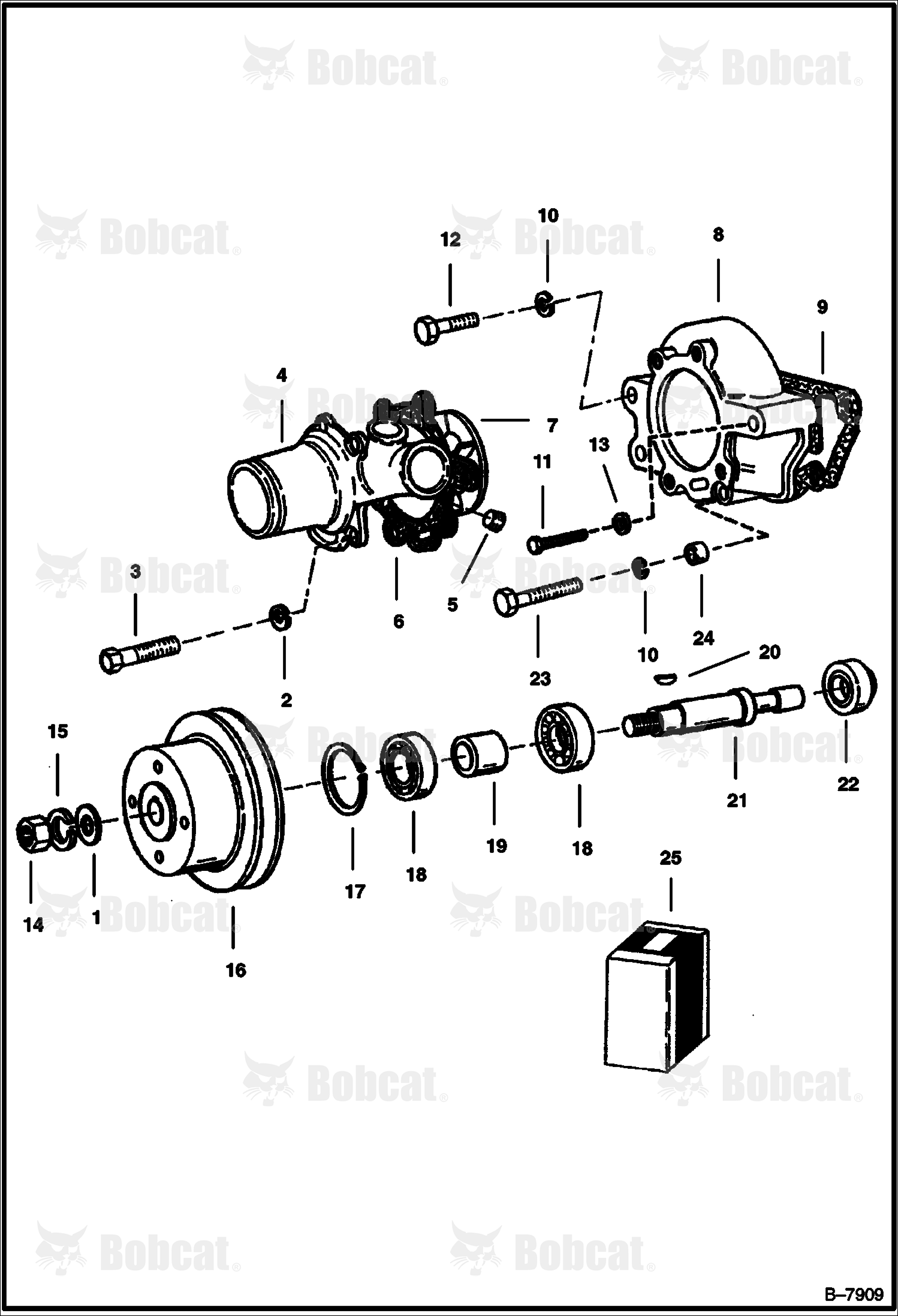 Water Pump