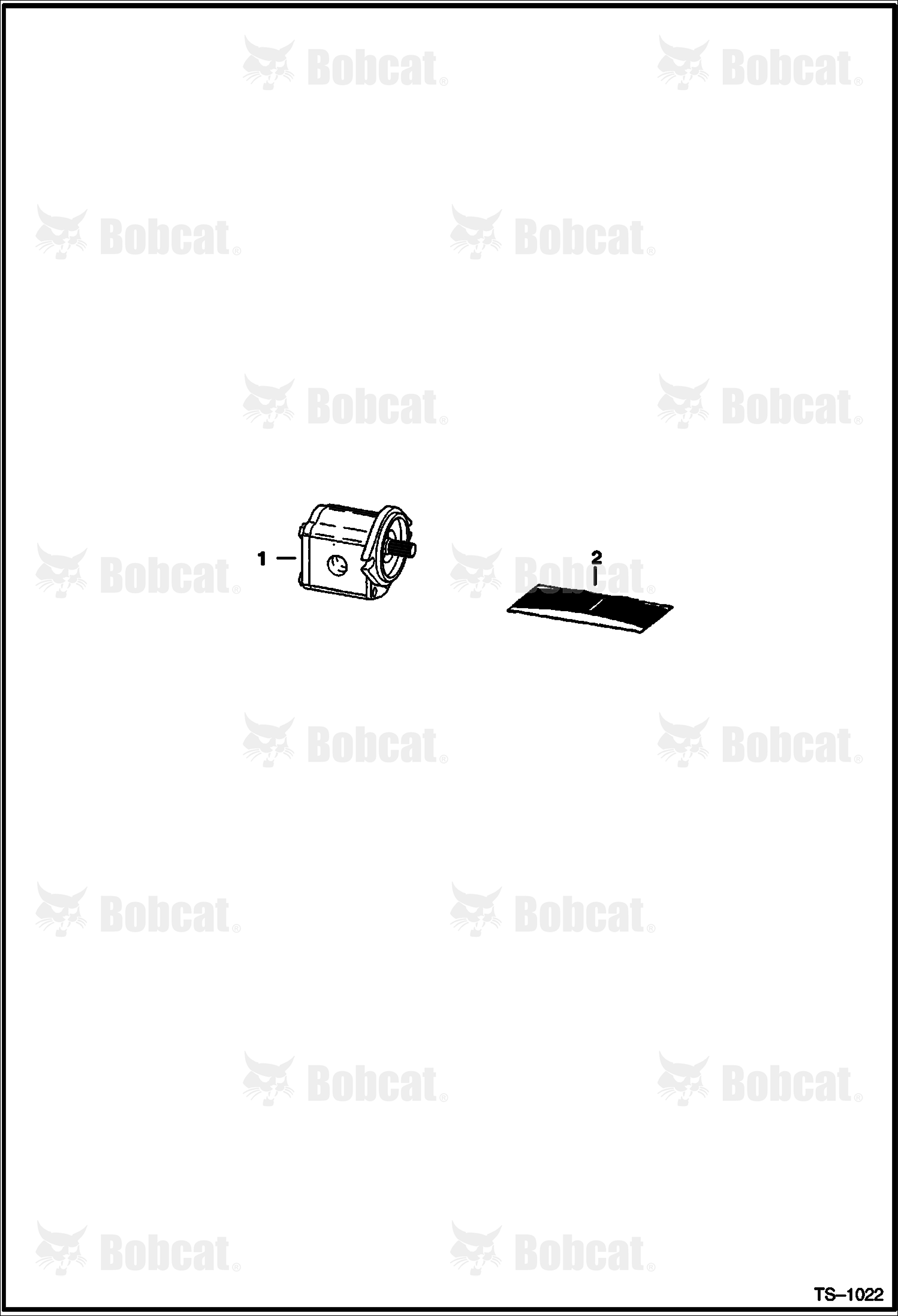 Gear Pump (Model B5501-36836) (For Hydro. Pump Model 4445050)