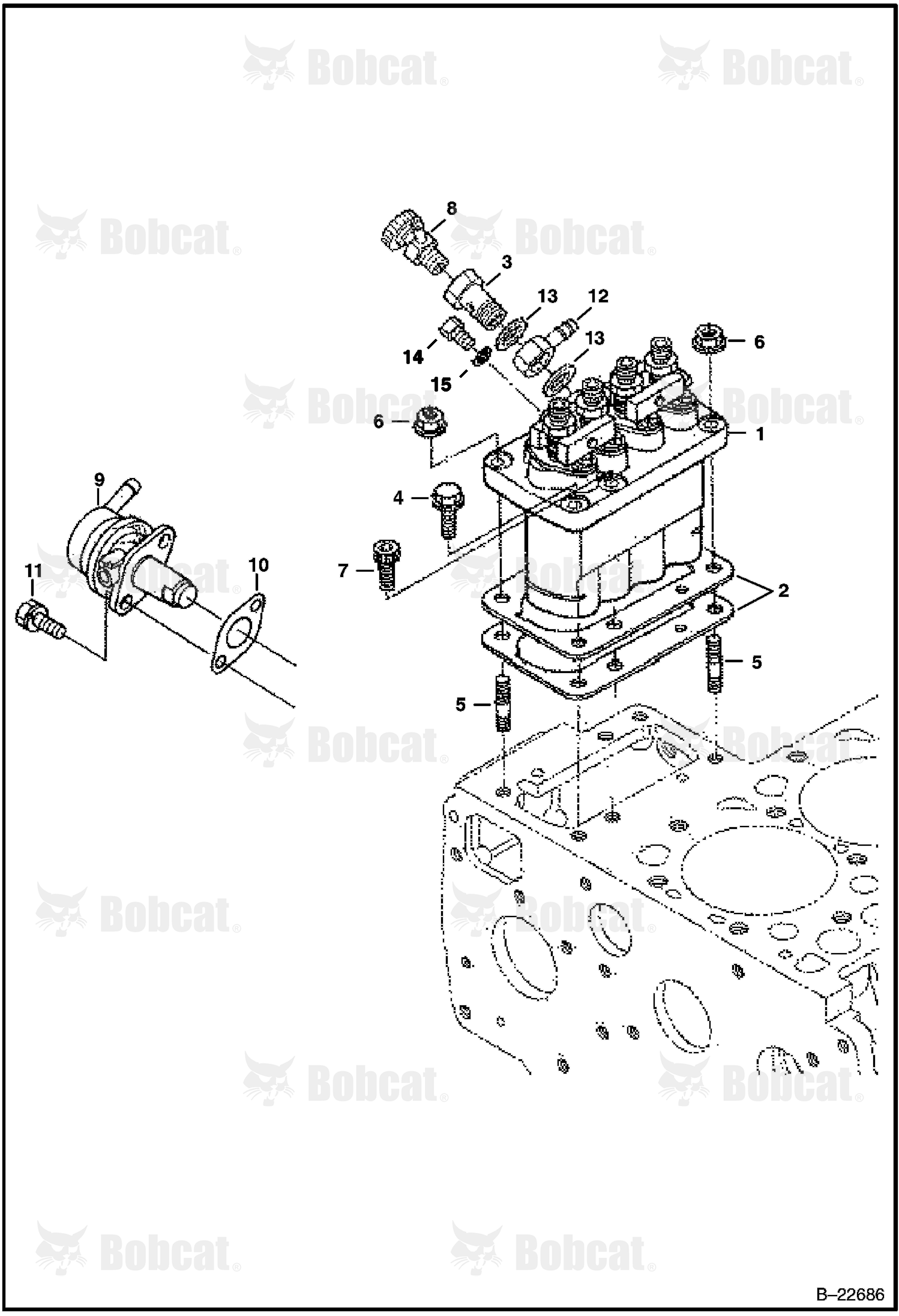 Fuel & Injection Pump