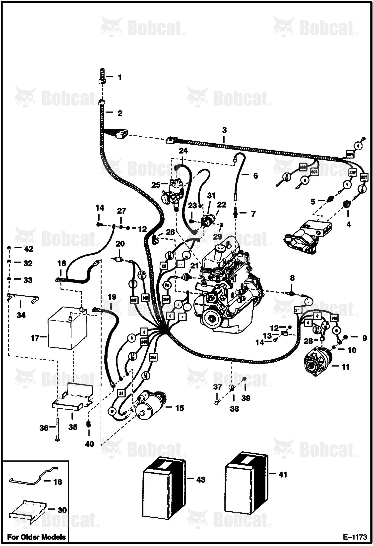 Engine Electrical System