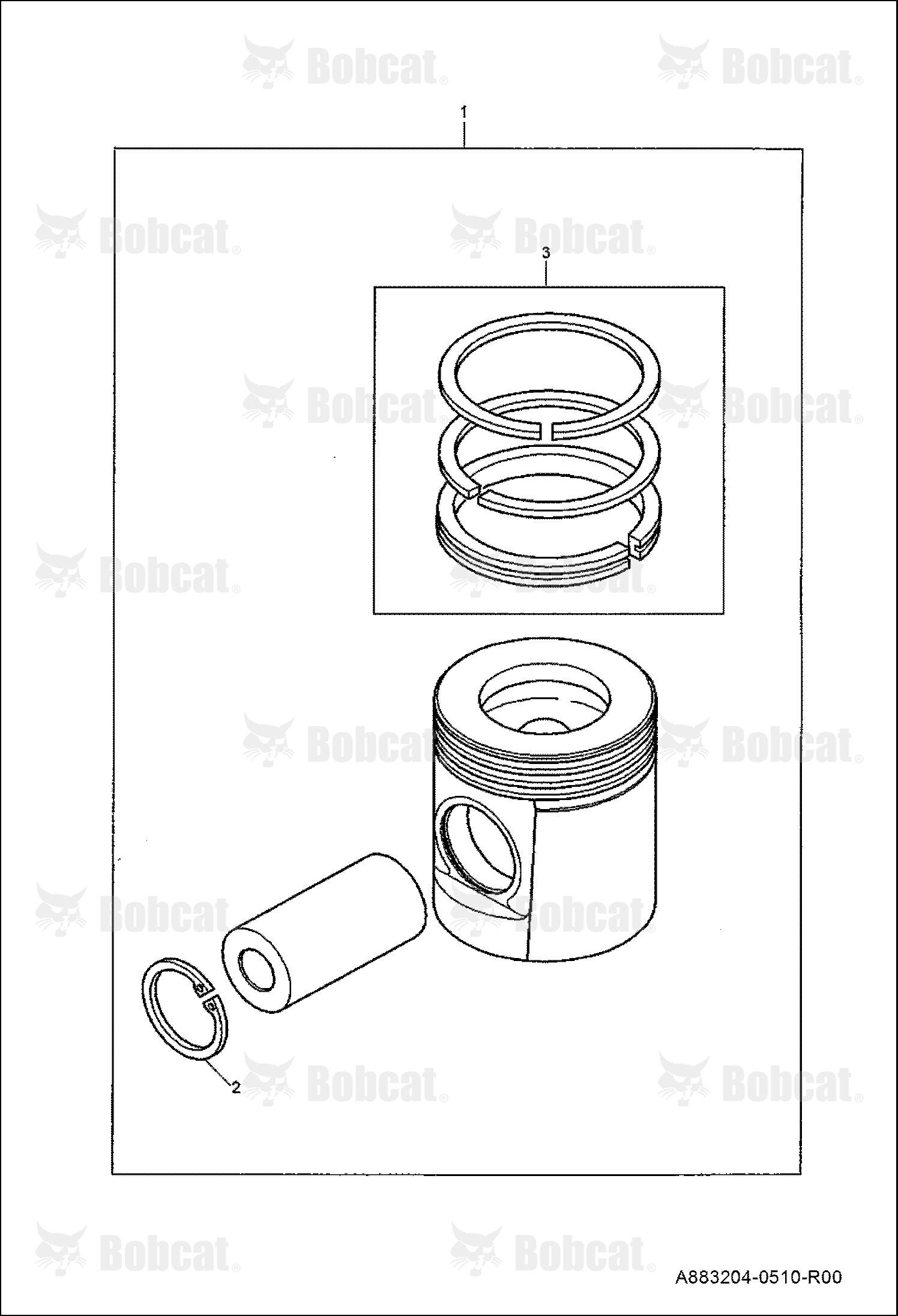 Pistons and Rings