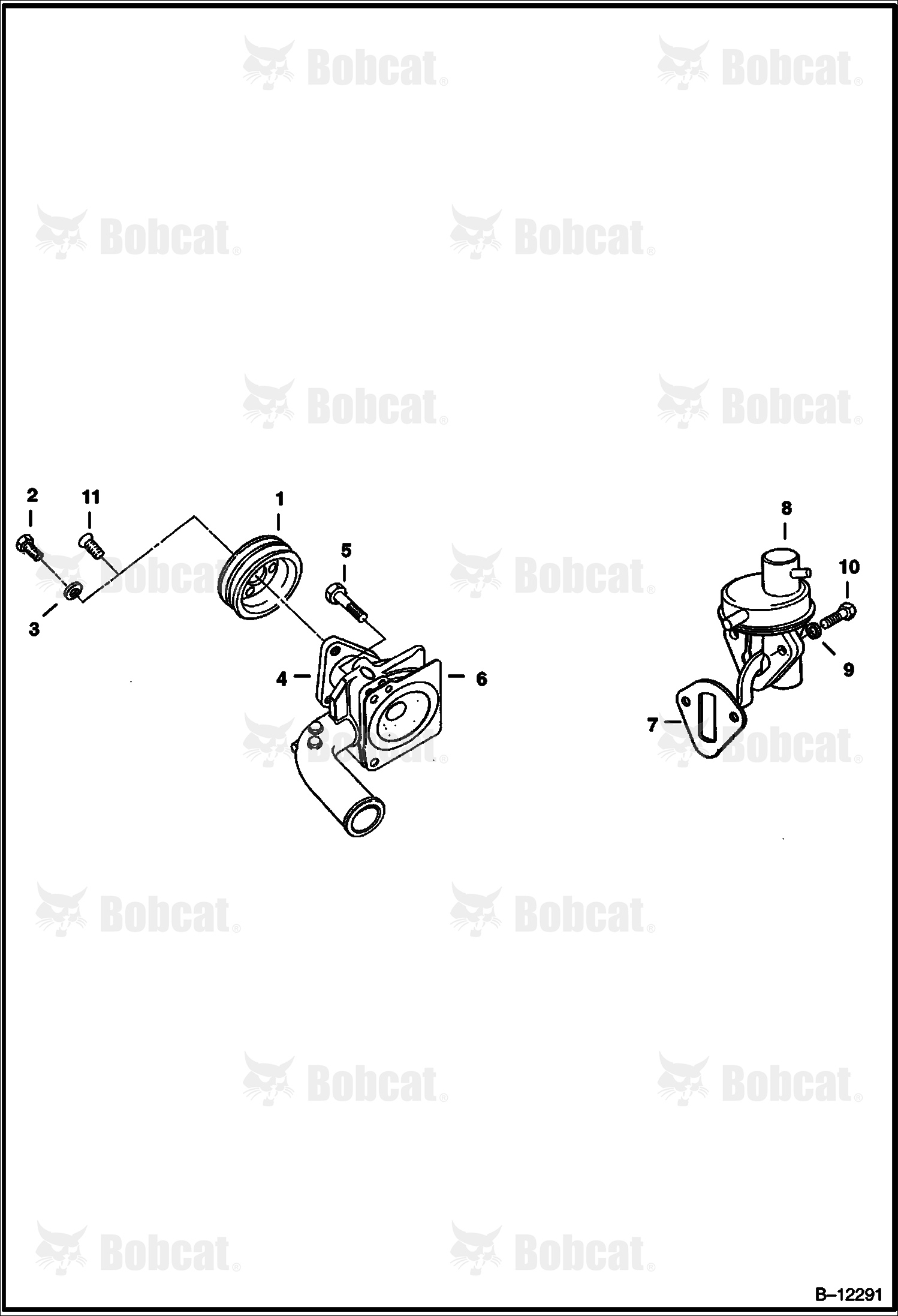 Fuel & Water Pump  506911251 - 506911999