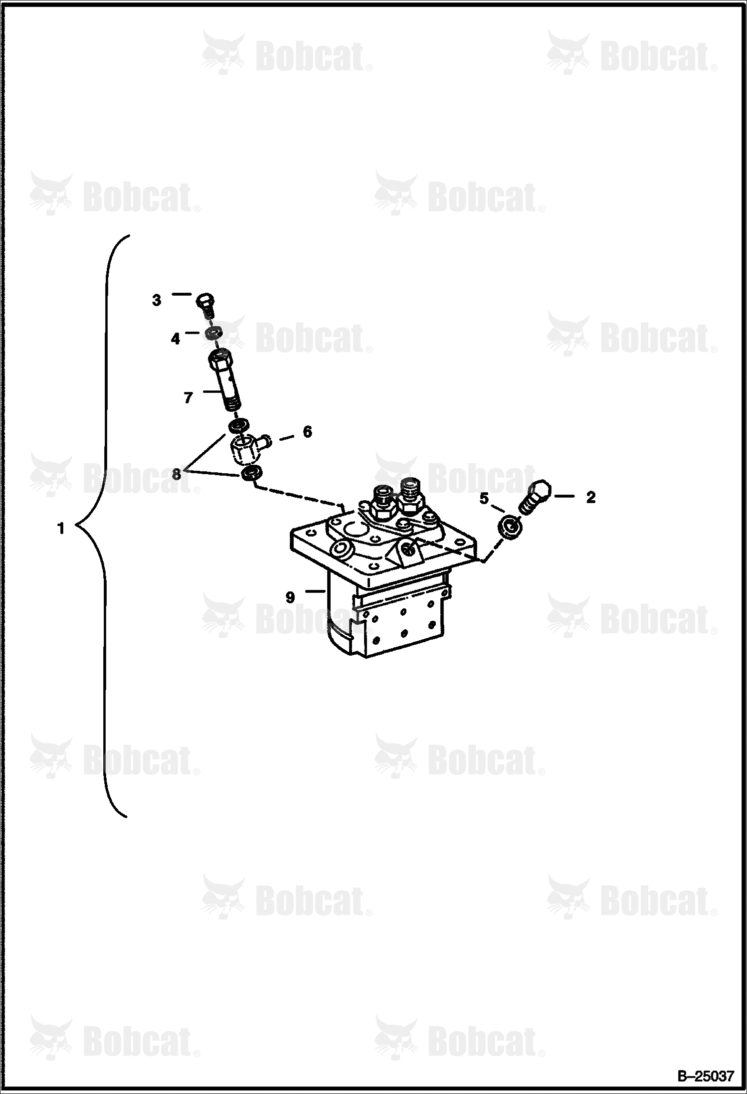 Injection Pump