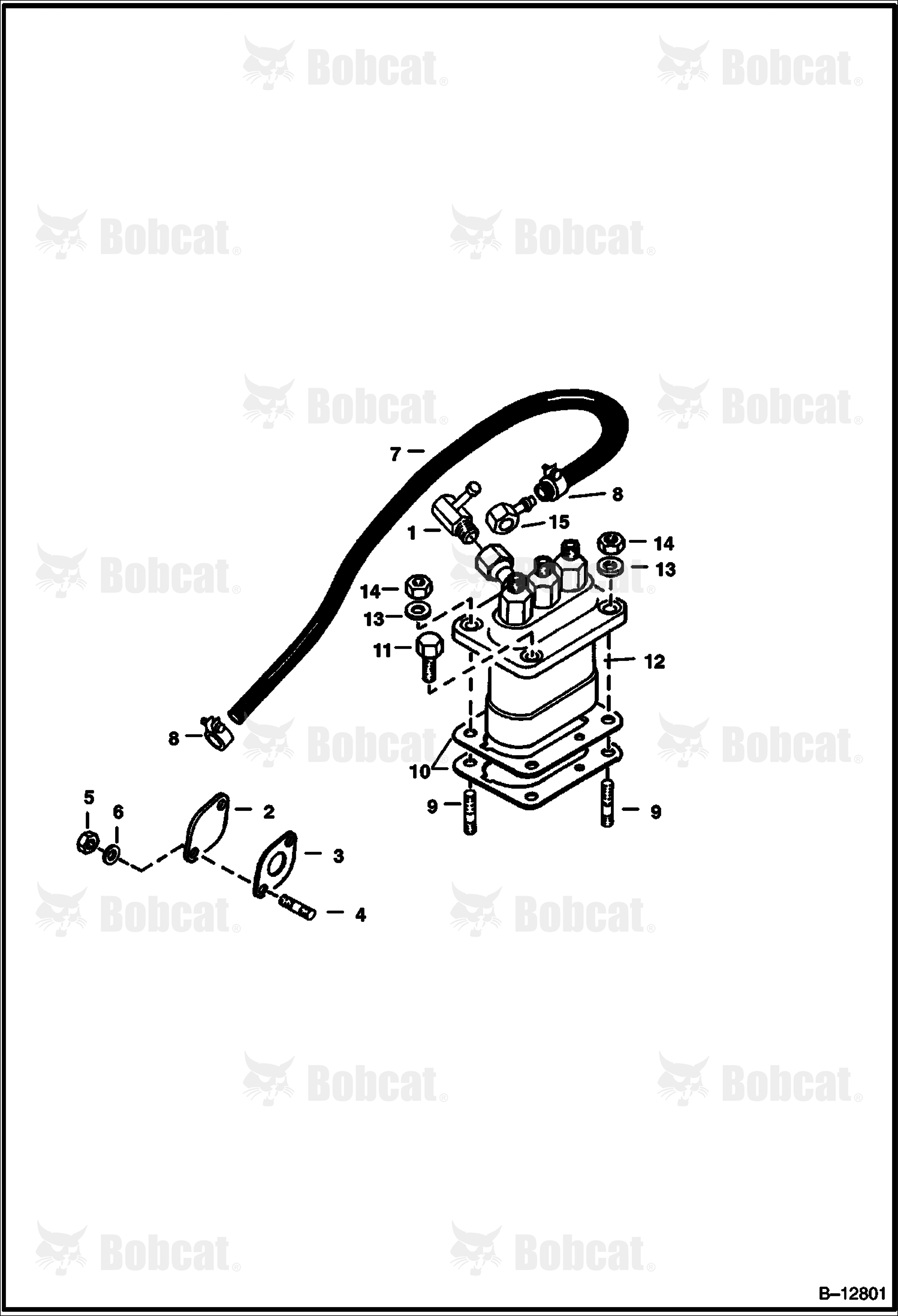 Fuel & Injection Pump