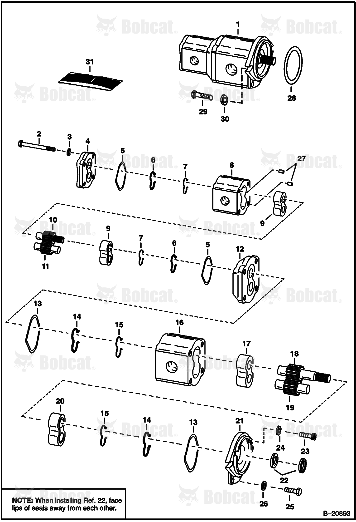 Gear Pump (Double)