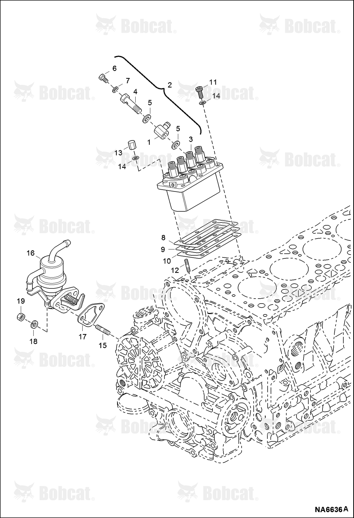 Fuel & Injection Pump