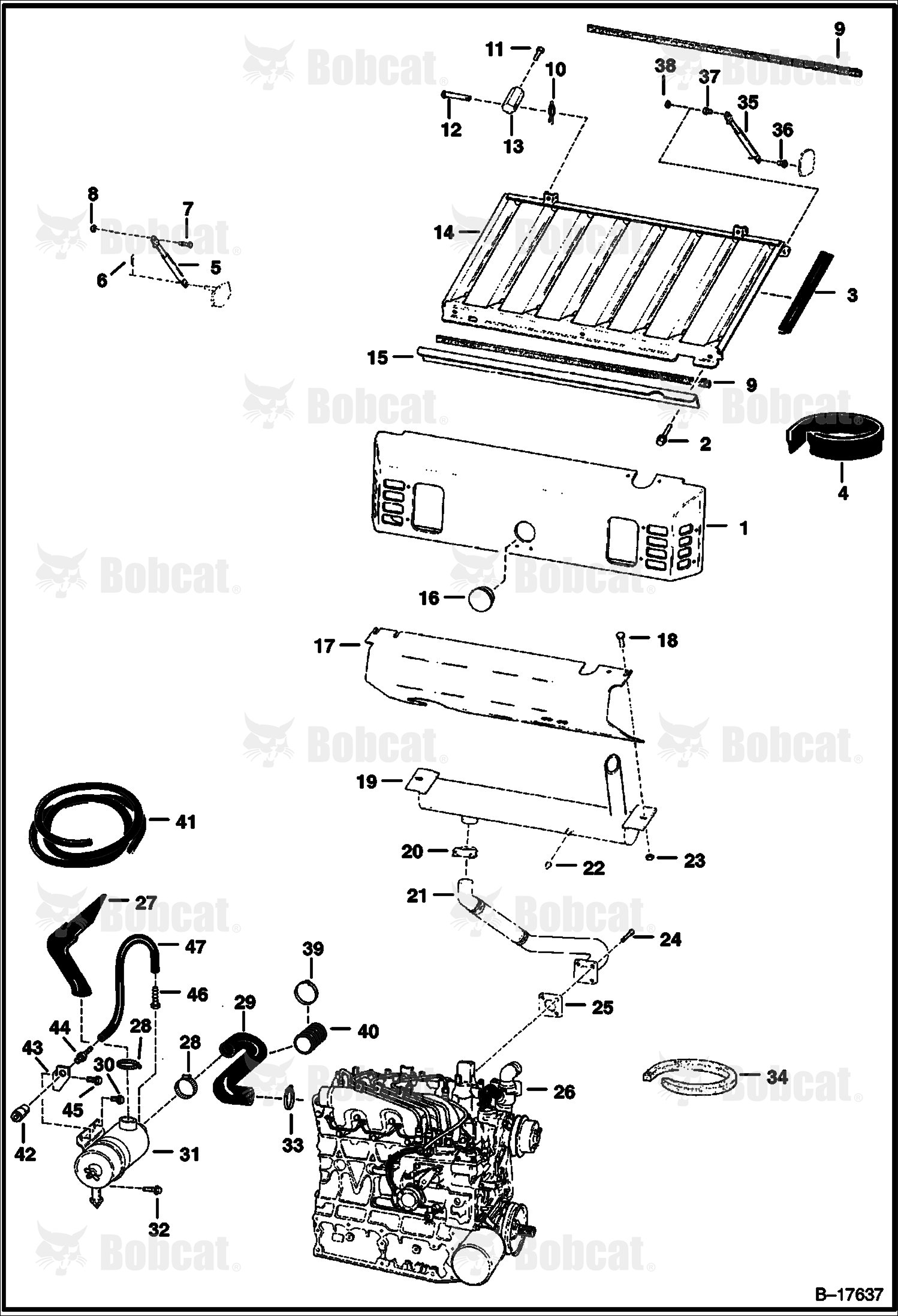 Engine & Attaching Parts (Air Cleaner, Muffler & Grill) 509611619 & Above