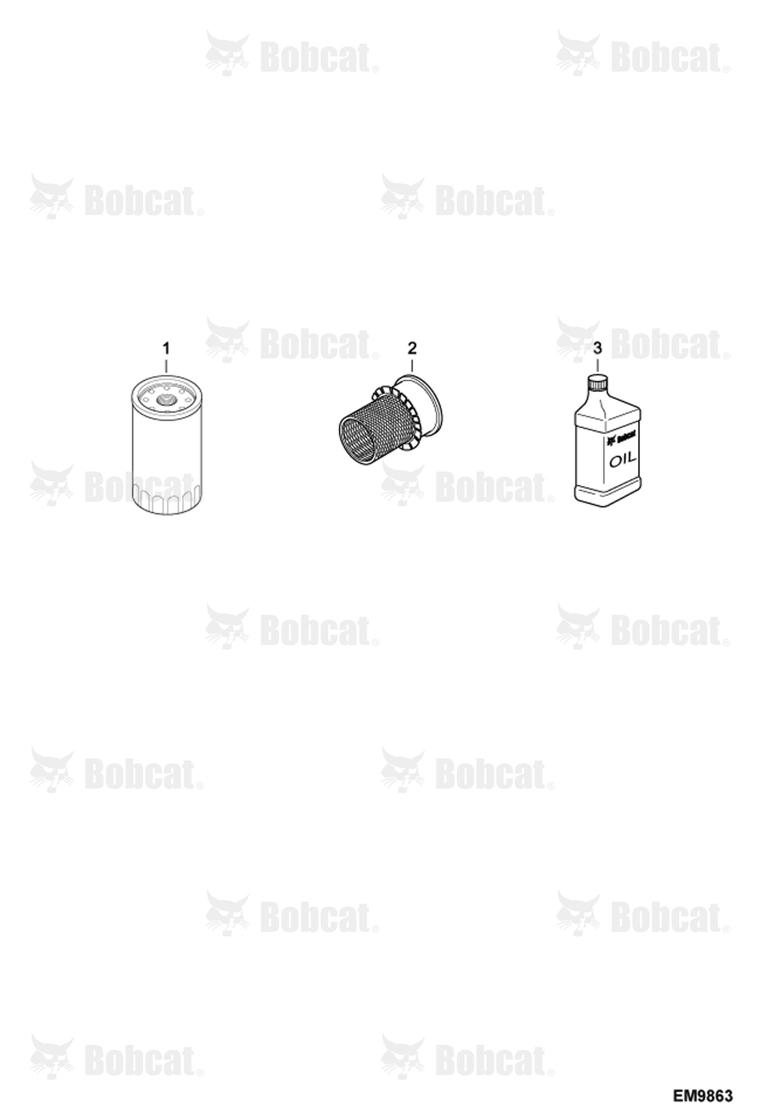 Scheduled Maintenance Items (Every 250 Hours)