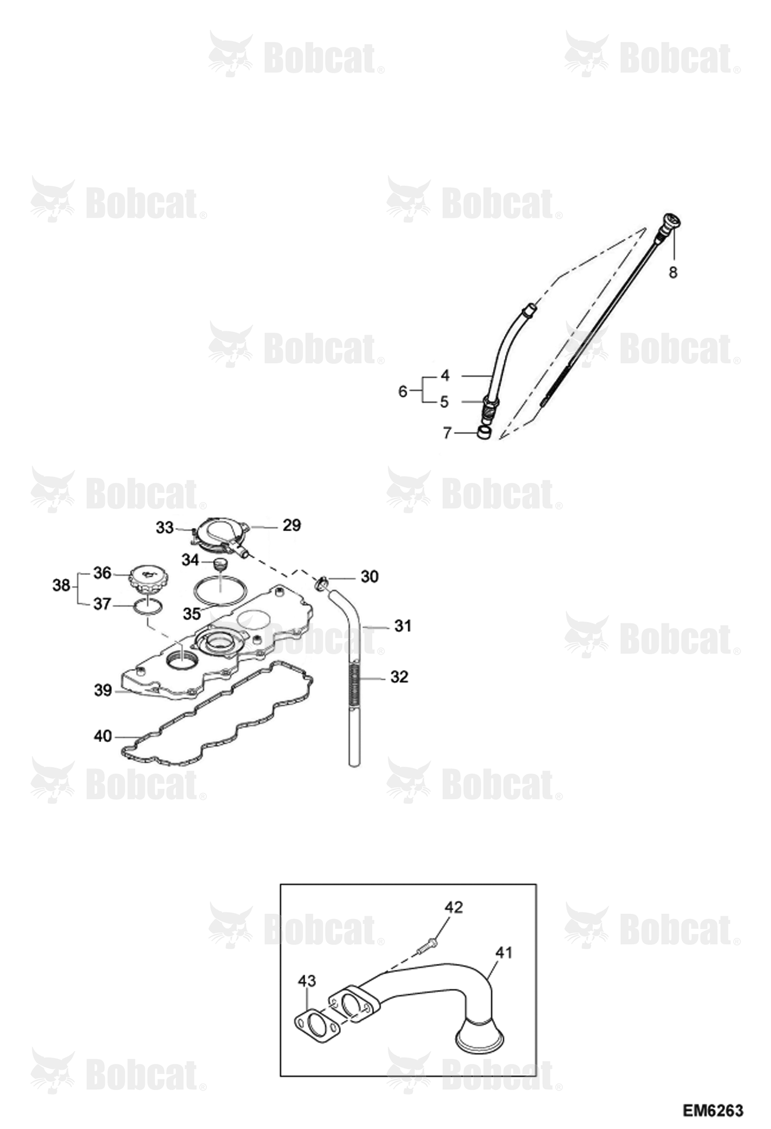 Oil Pan & Cylinder Head