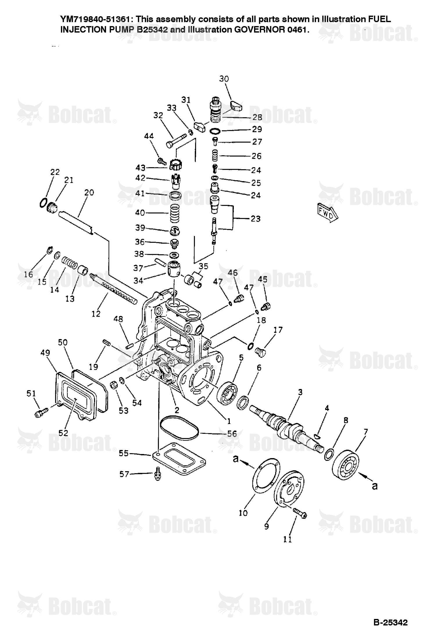 Fuel Injection Pump