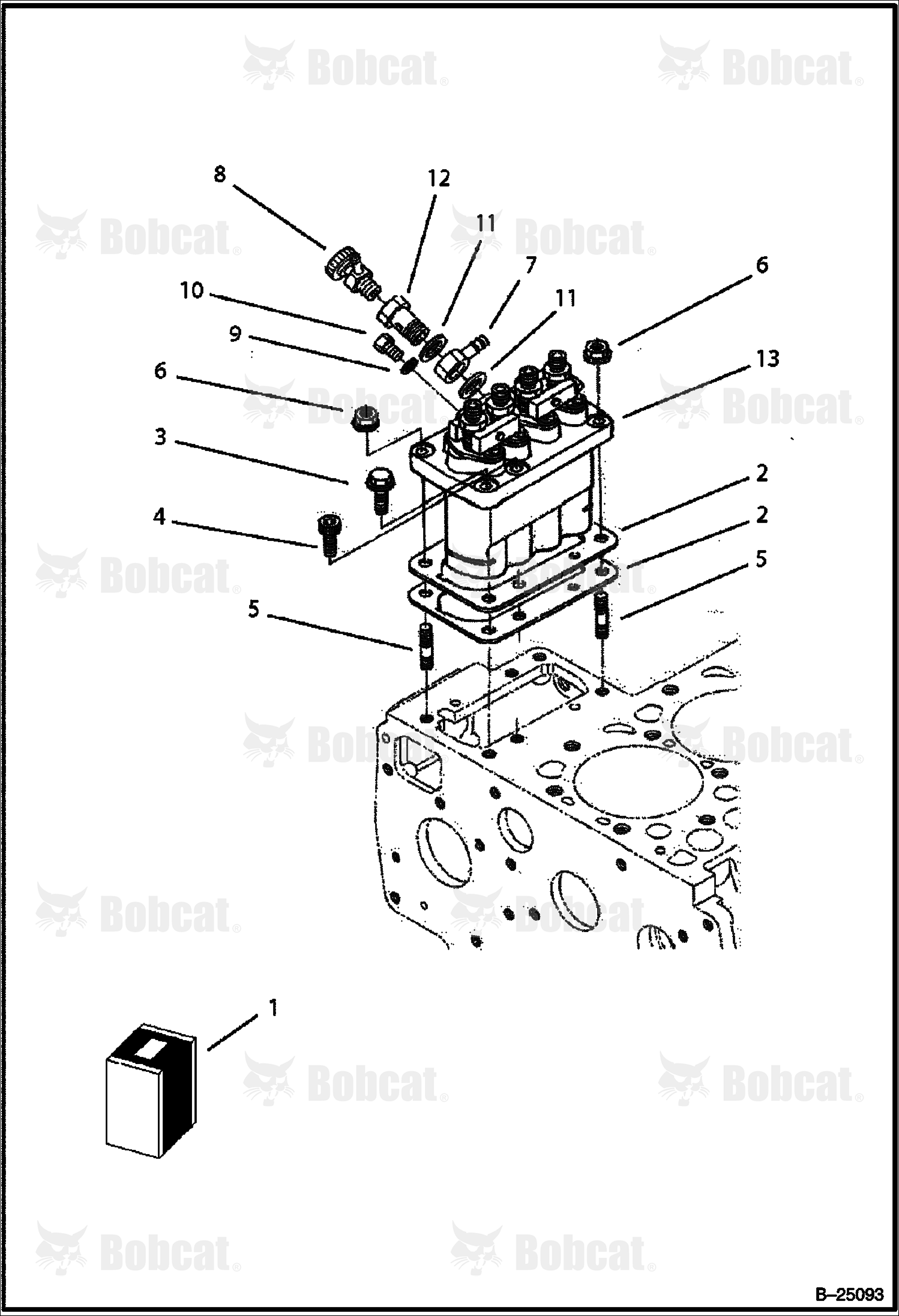 Injection Pump (Tier II)  573111001 & Above