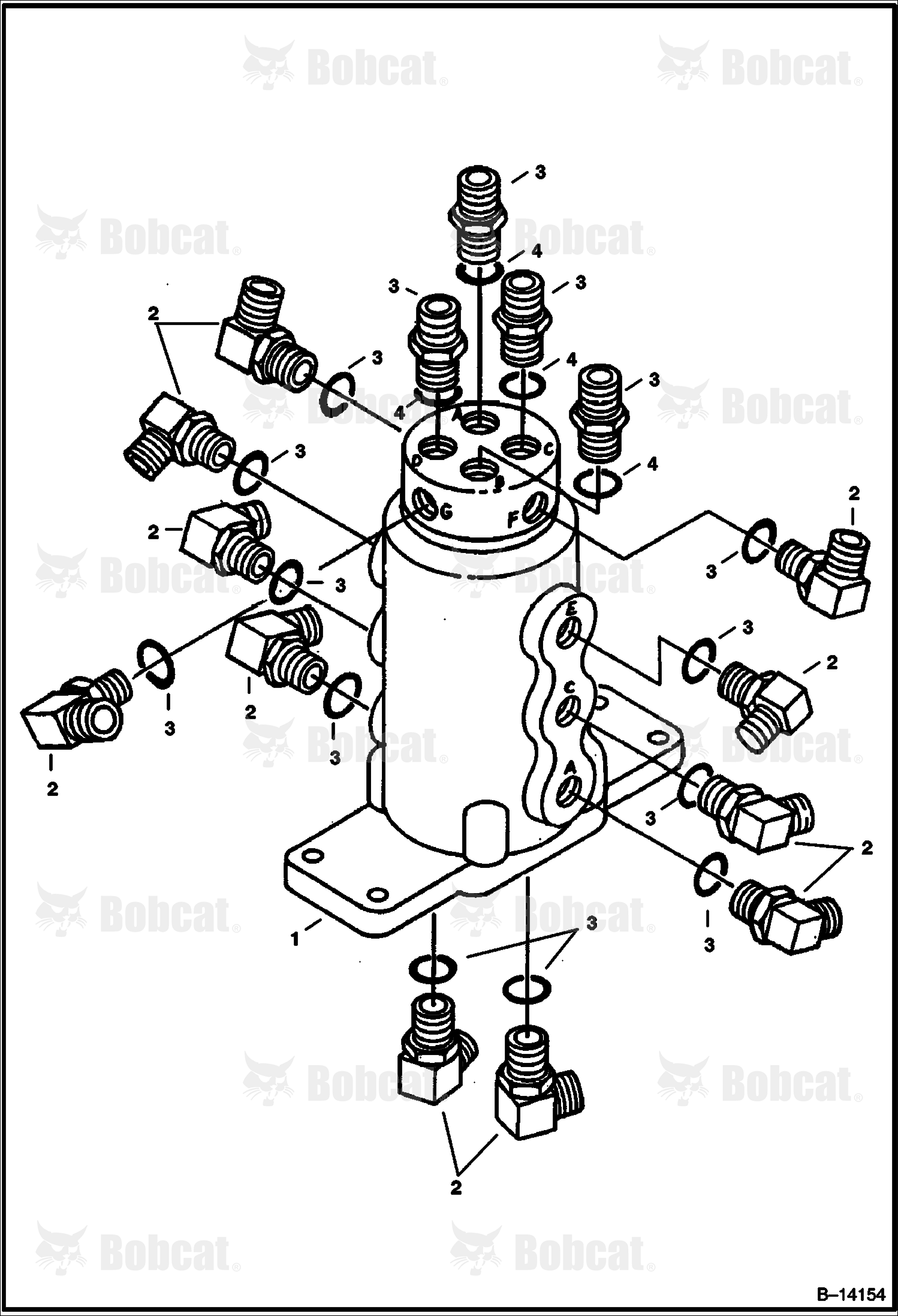 Swivel Joint Fittings (For Swivel Joint 6664409 Only)