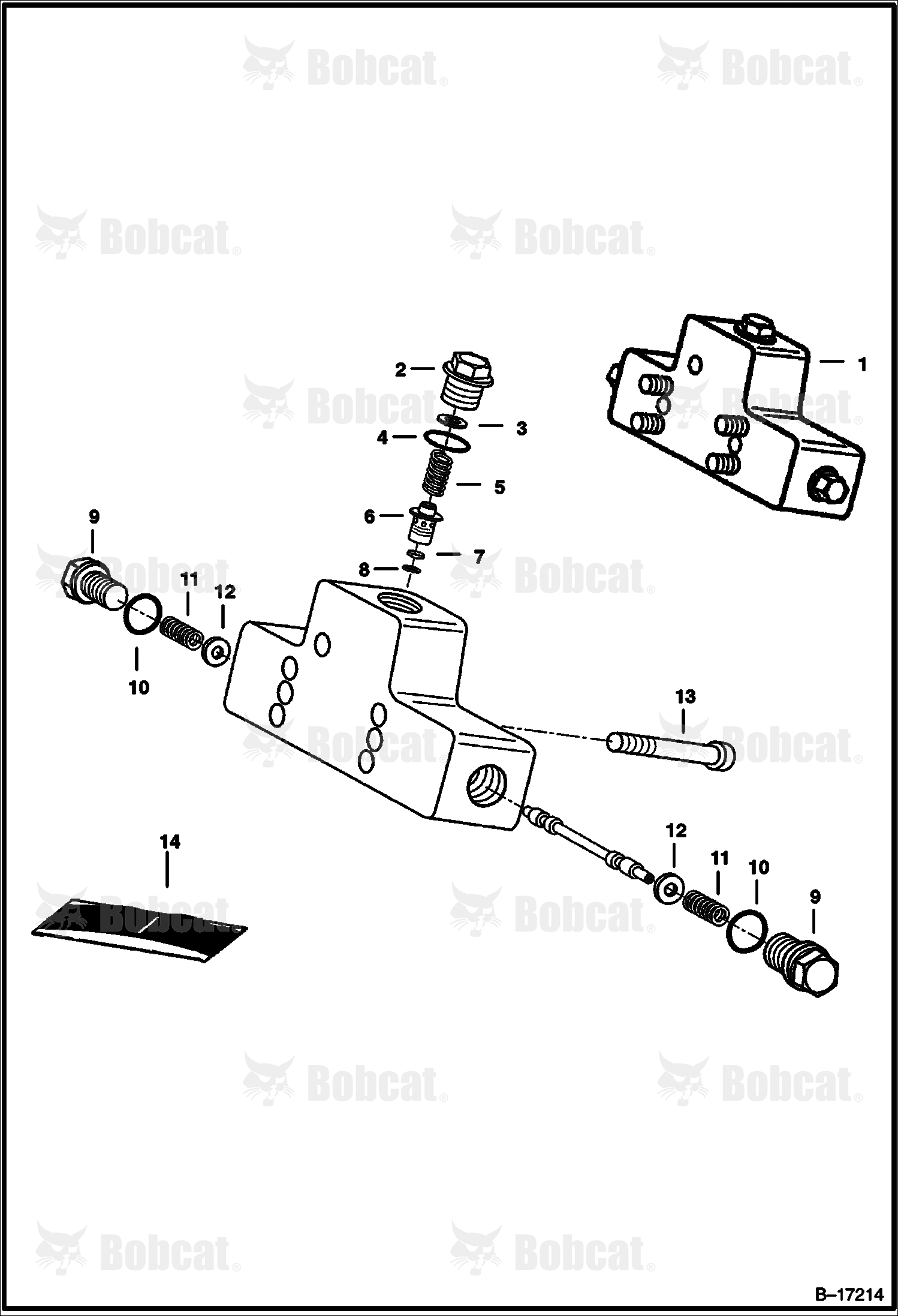 Flushing Valve