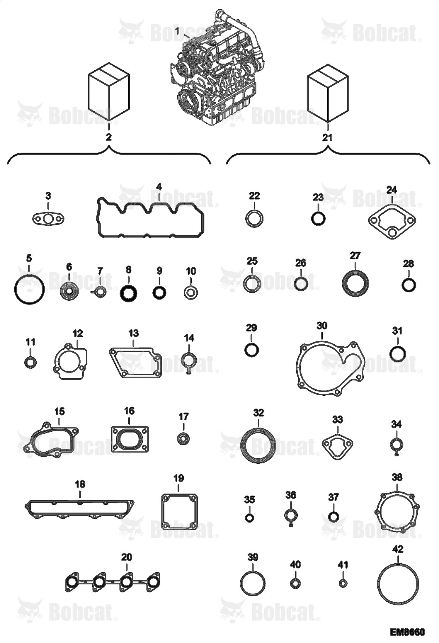 Engine & Gasket Kits