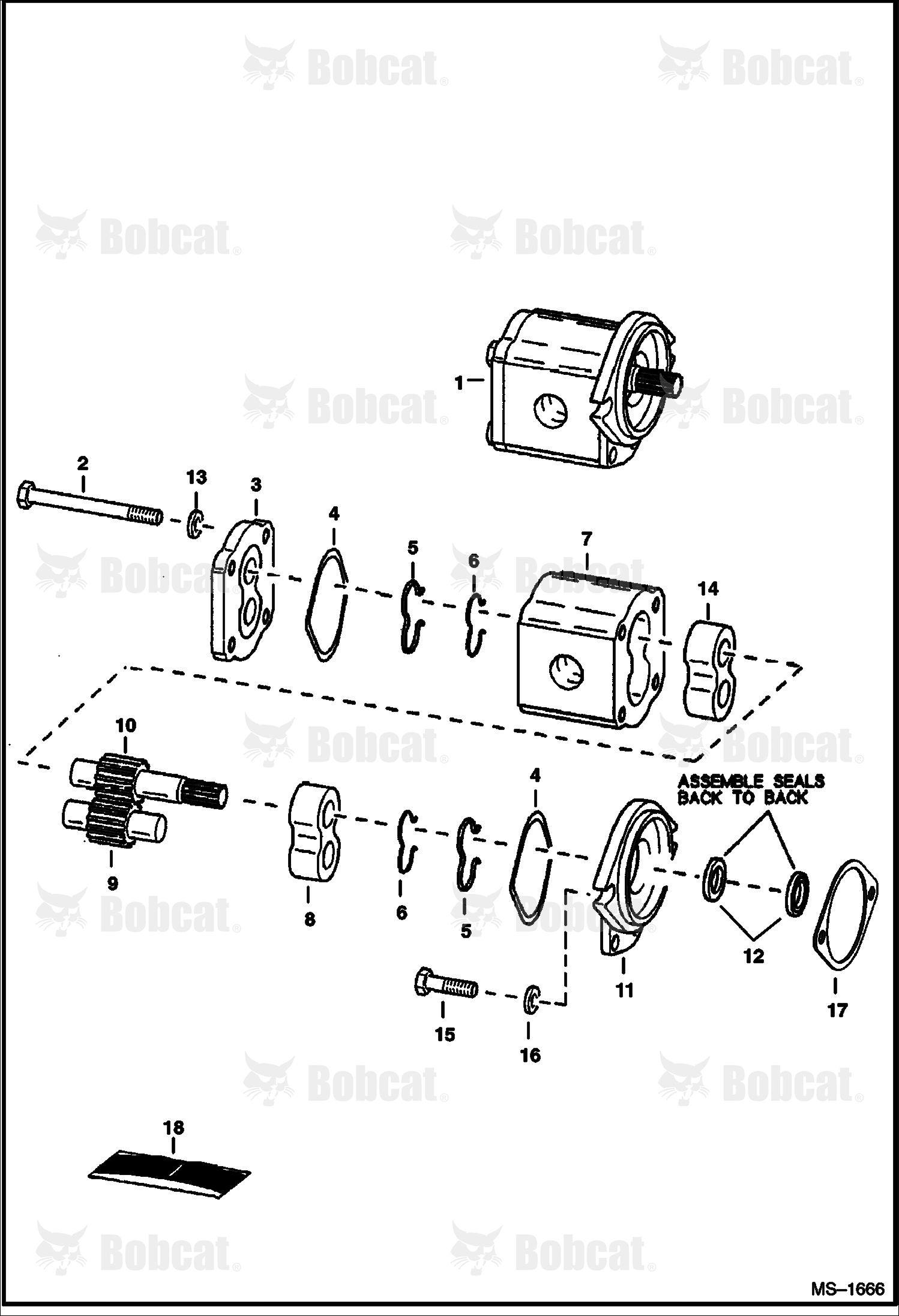 Gear Pump