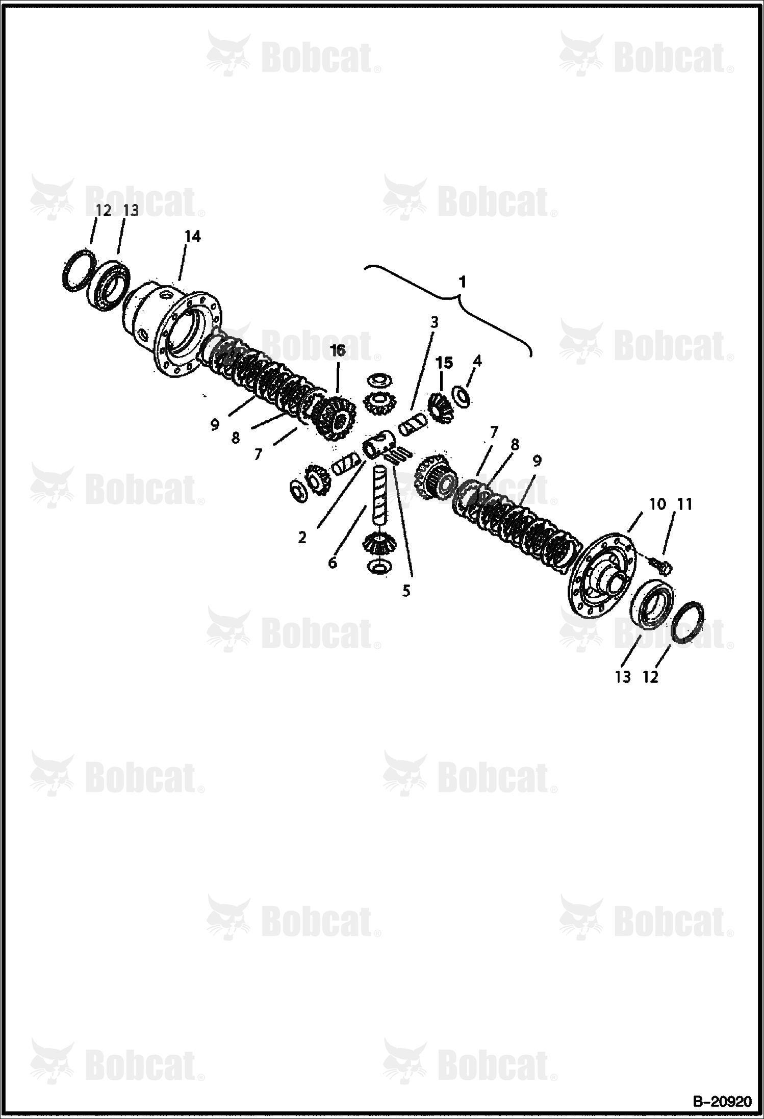 Rear Axle (Differential)