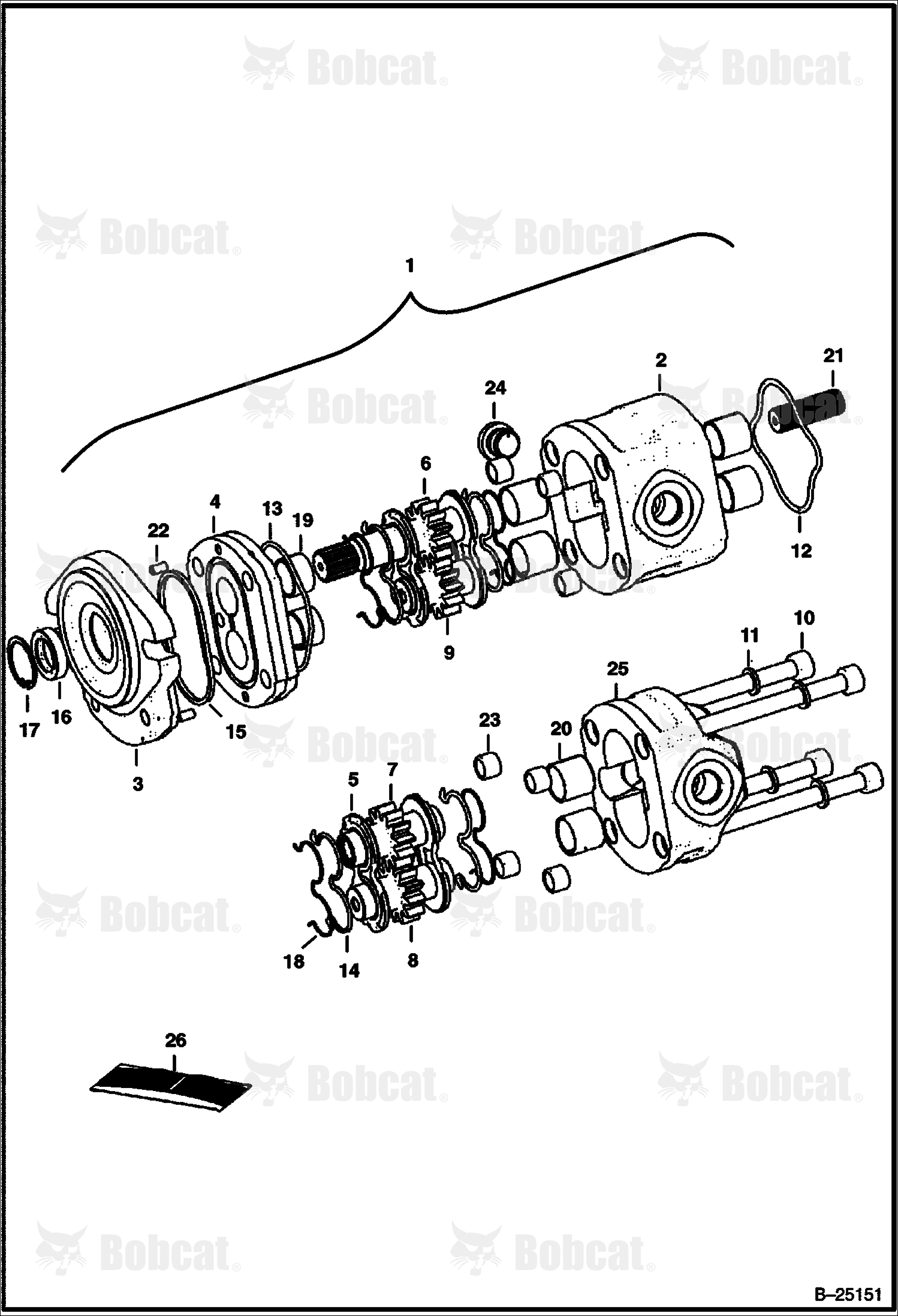 Gear Pump  520611906 & Above, 522411089 & Above