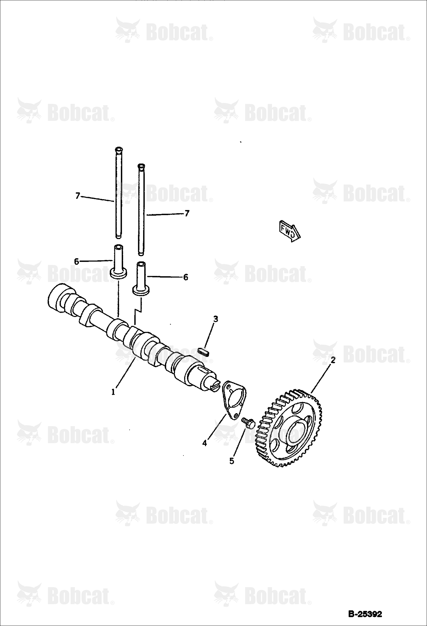 Camshaft and Tappets