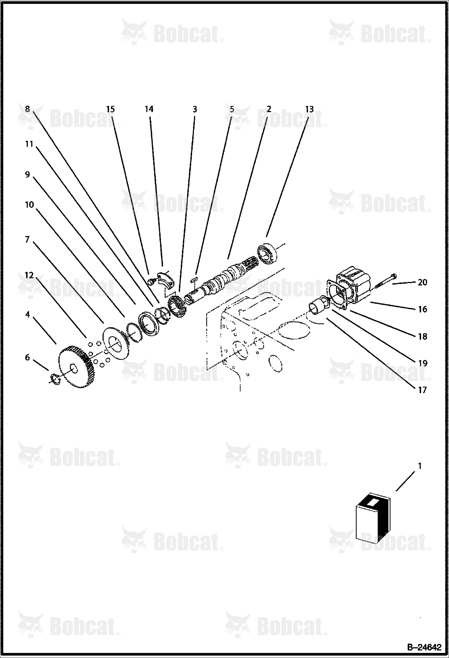 Fuel Camshaft & Governor Camshaft