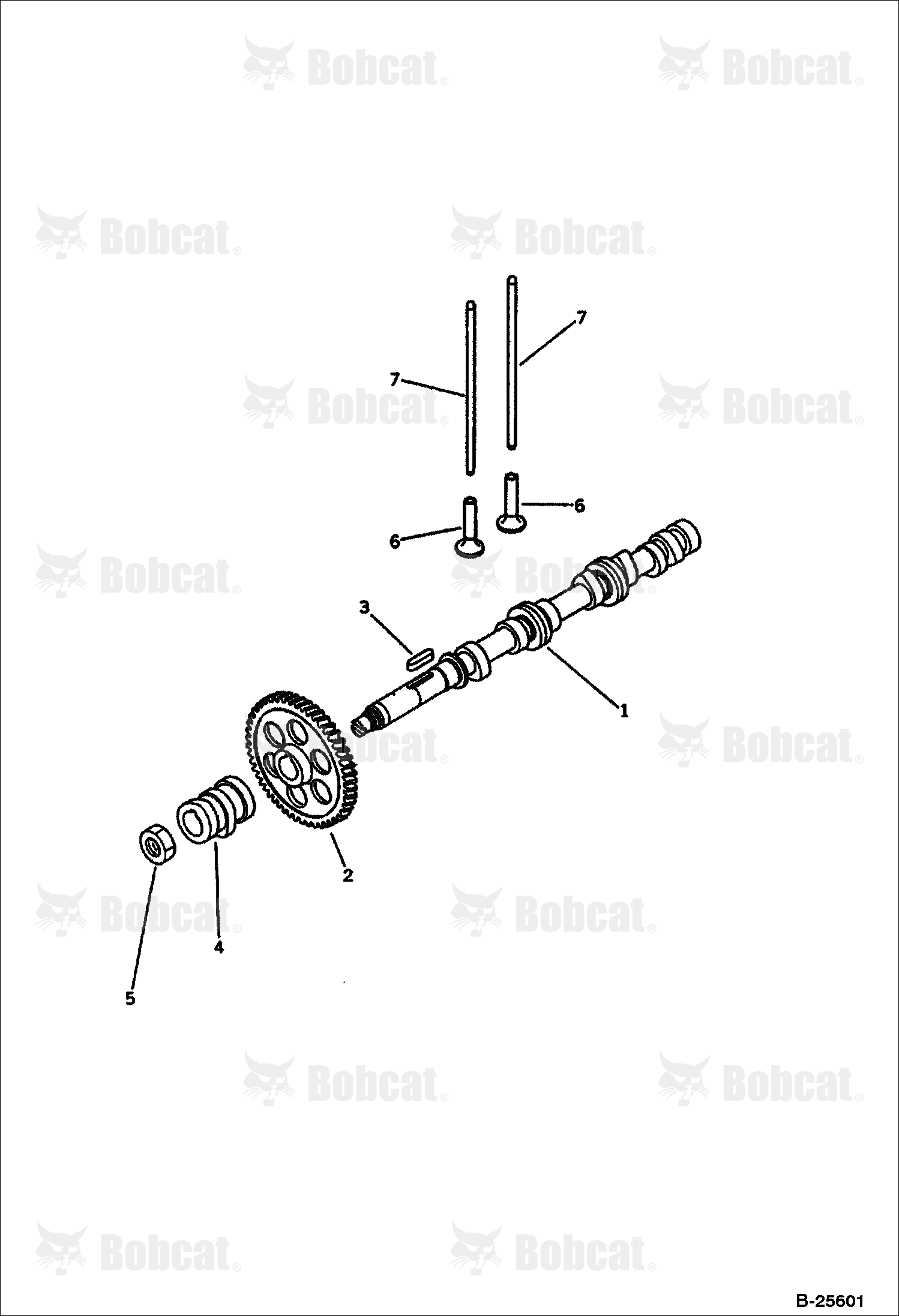 Camshaft and Tappet