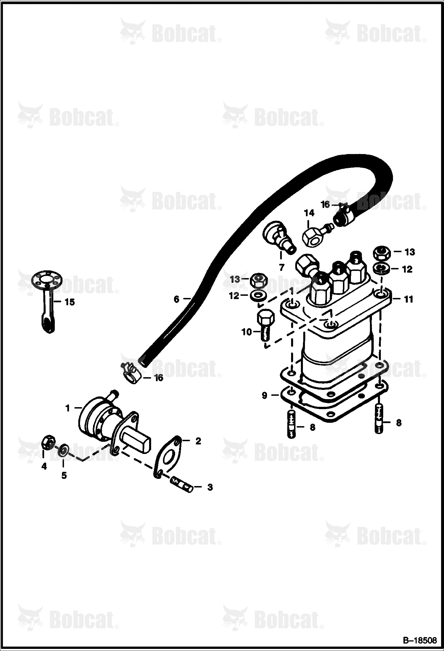 Fuel & Injection Pump