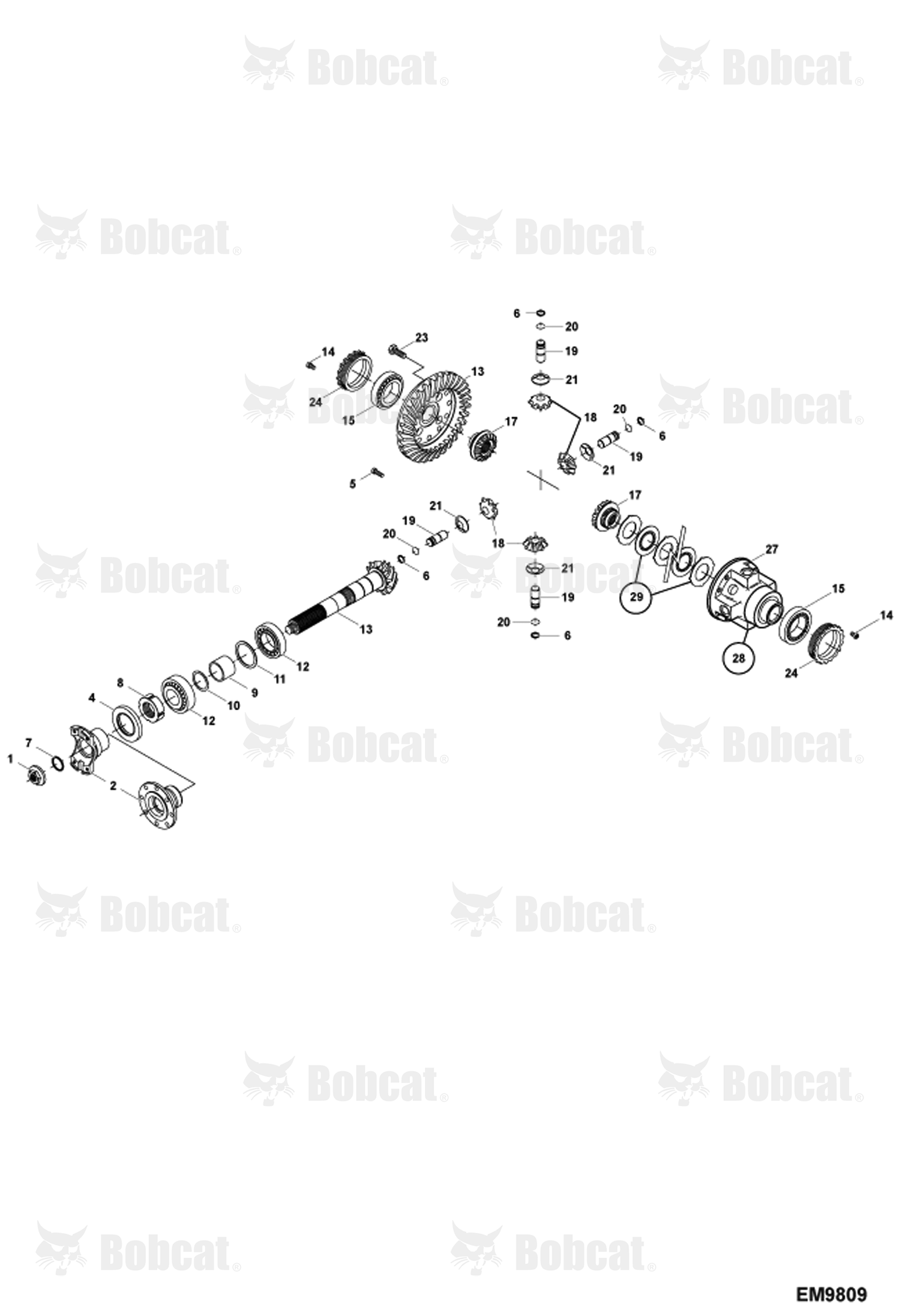 Rear Axle Differential Assembly