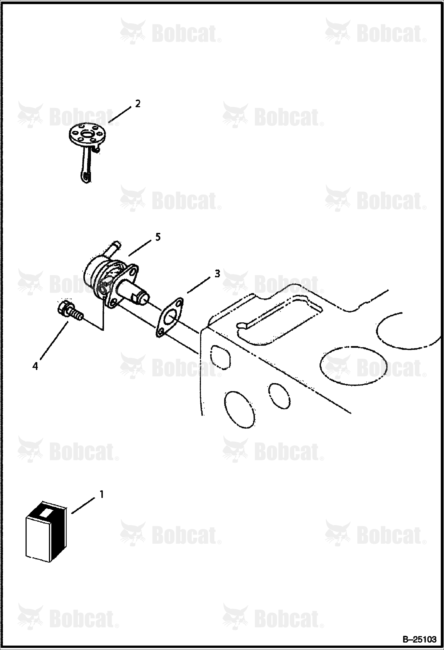 Fuel Pump (Tier II) 573211001 & Above