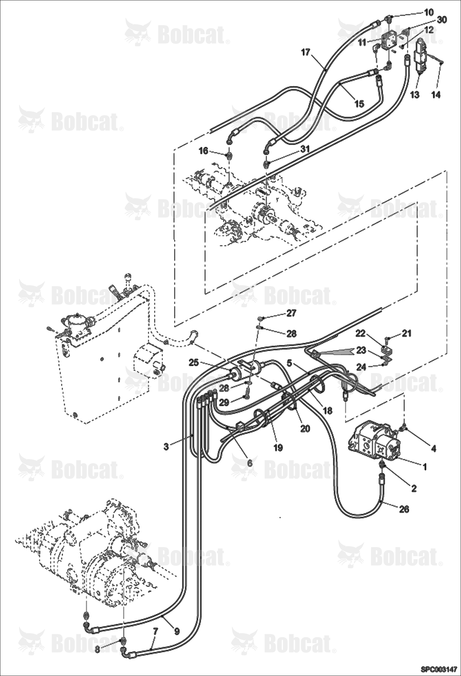 Steering Hoses & Fittings (W/Damper)