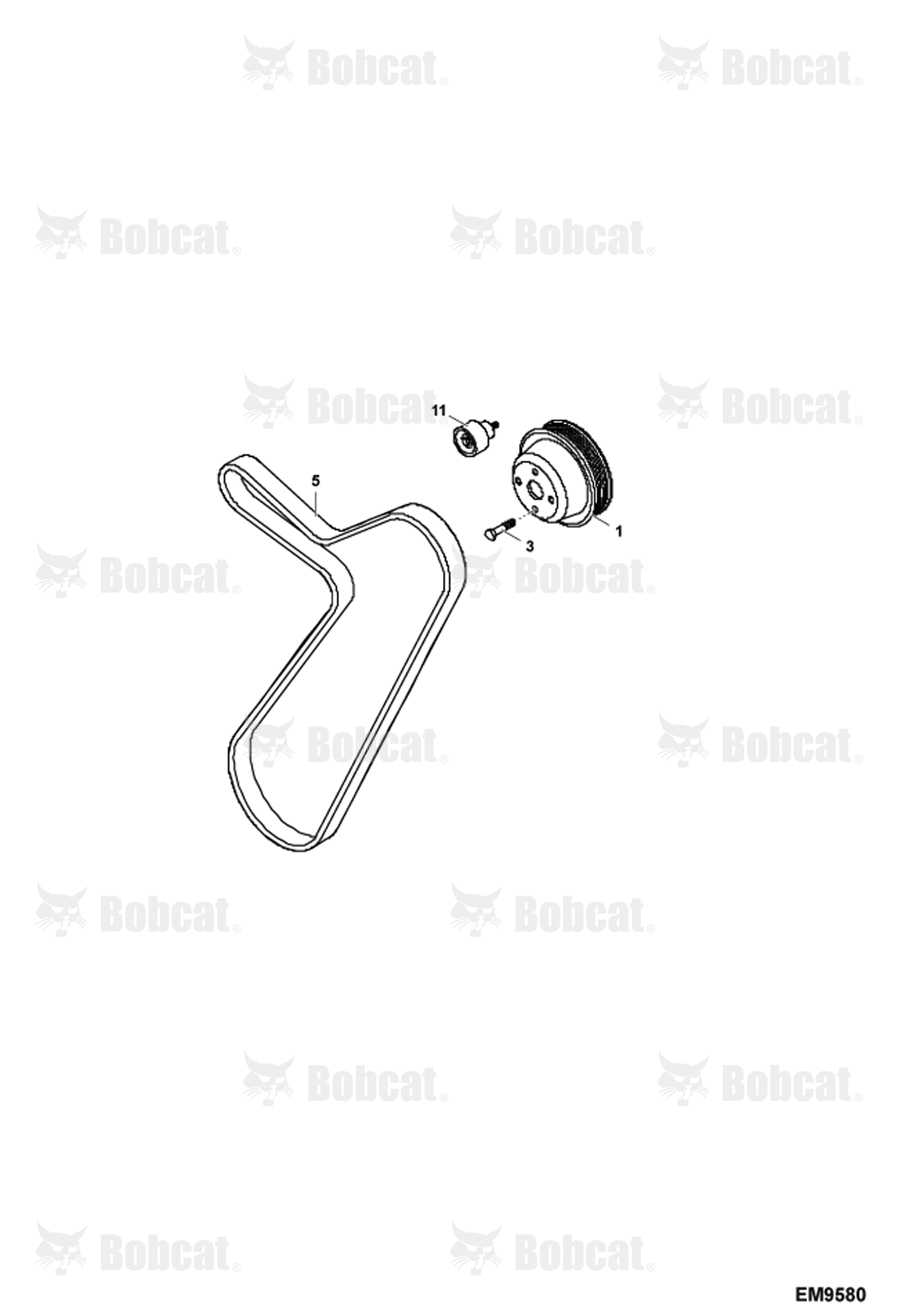 Engine Components (Water Circuit & Drive Belt)