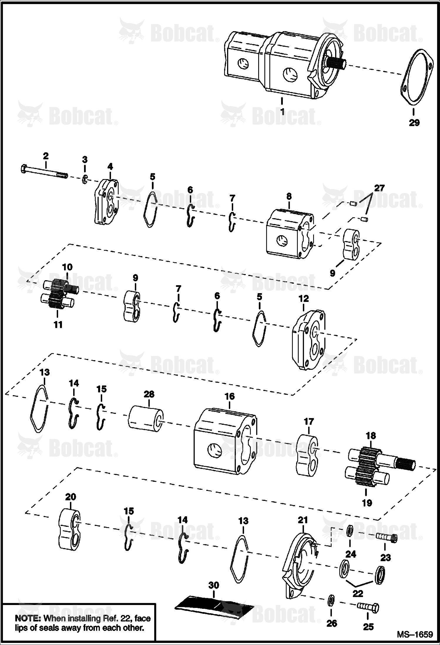 Double Gear Pump