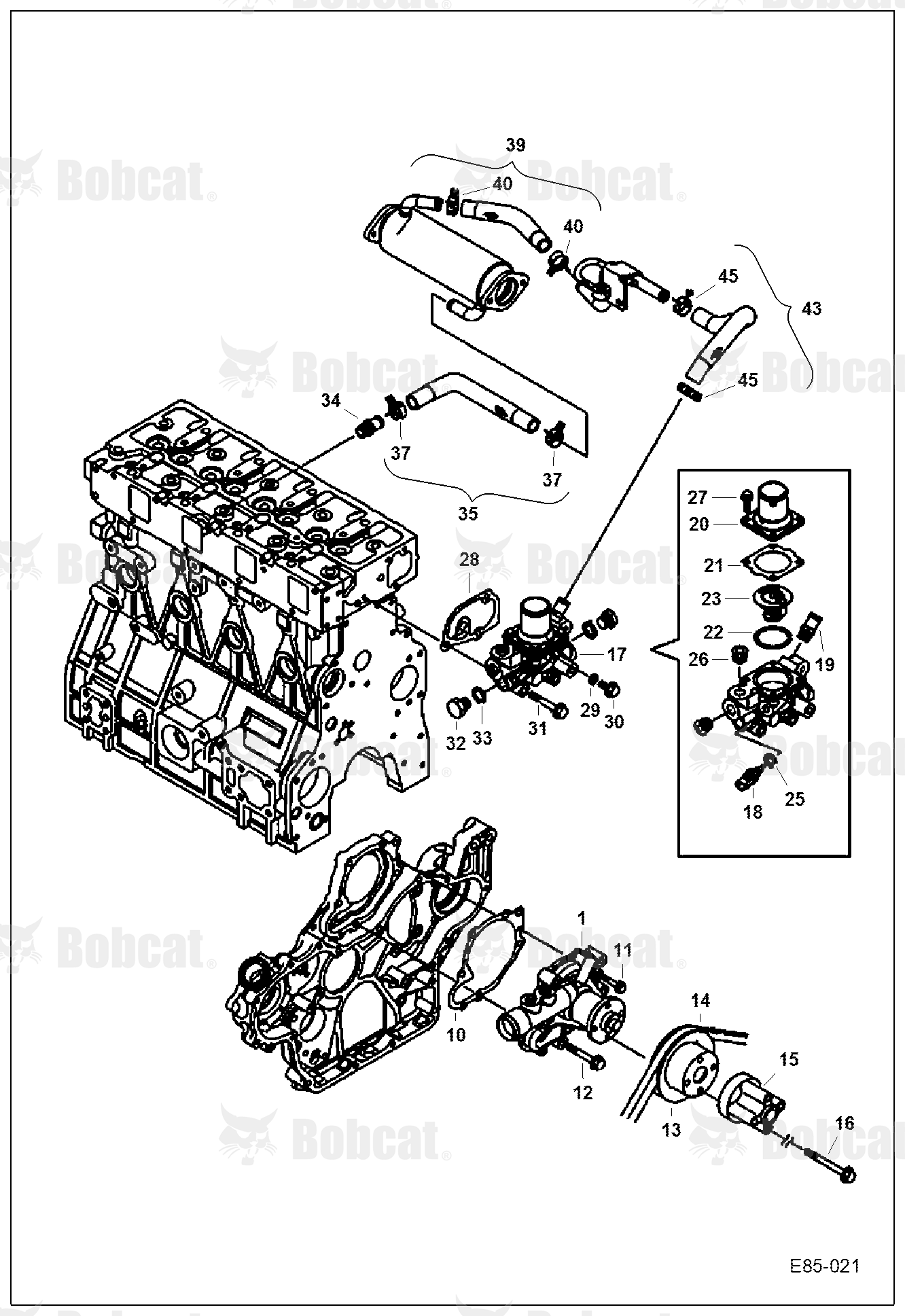 Water Pump & Thermostat