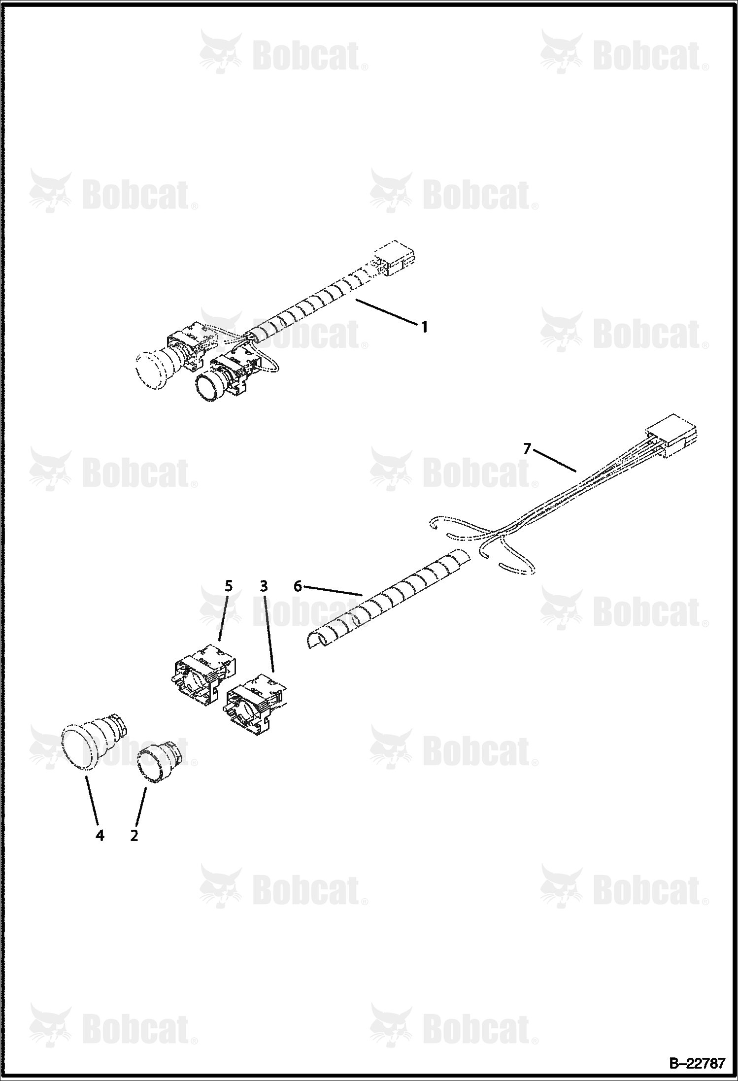 Electrical (Wire Assy)