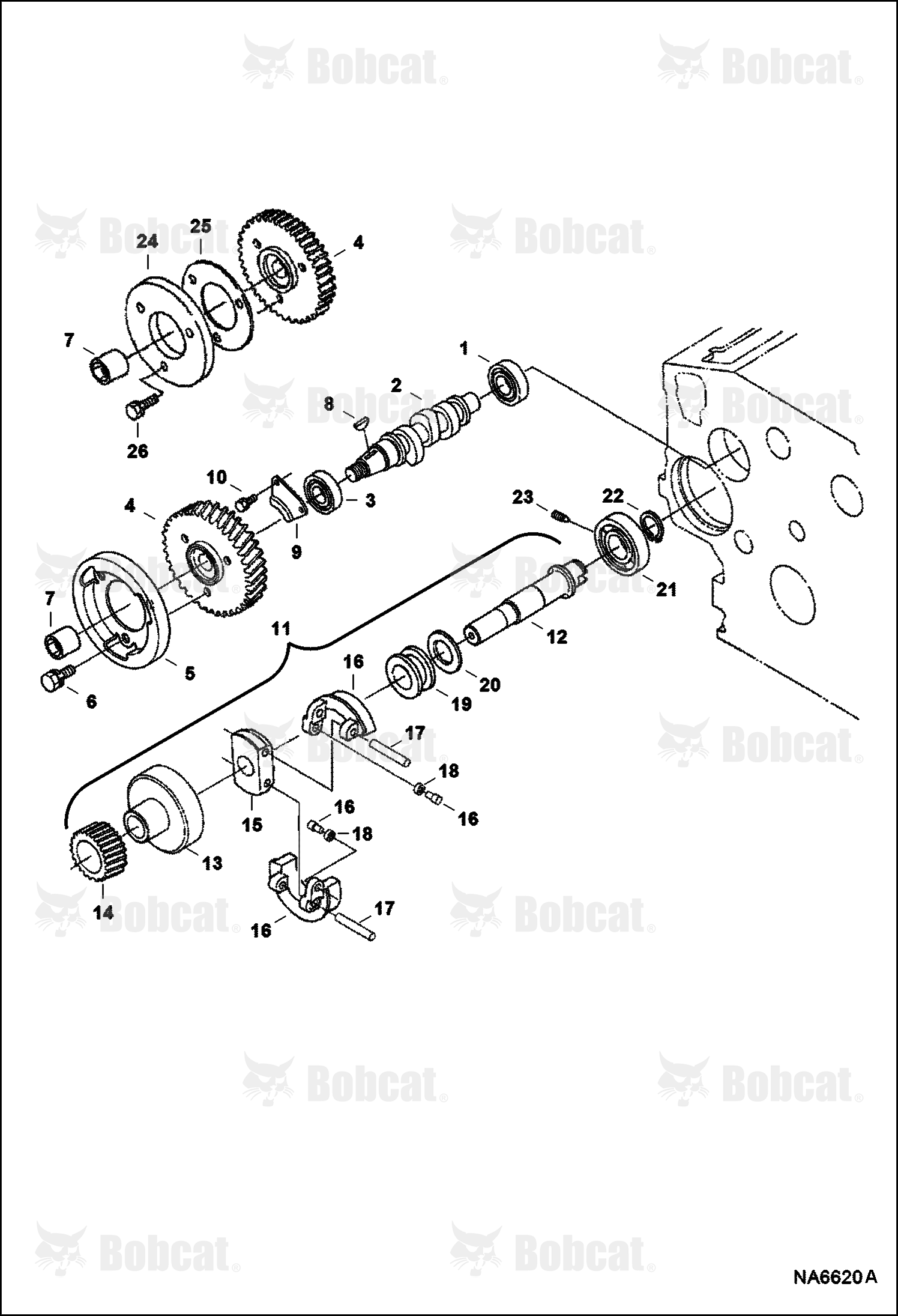 Fuel Camshaft & Governor Shaft