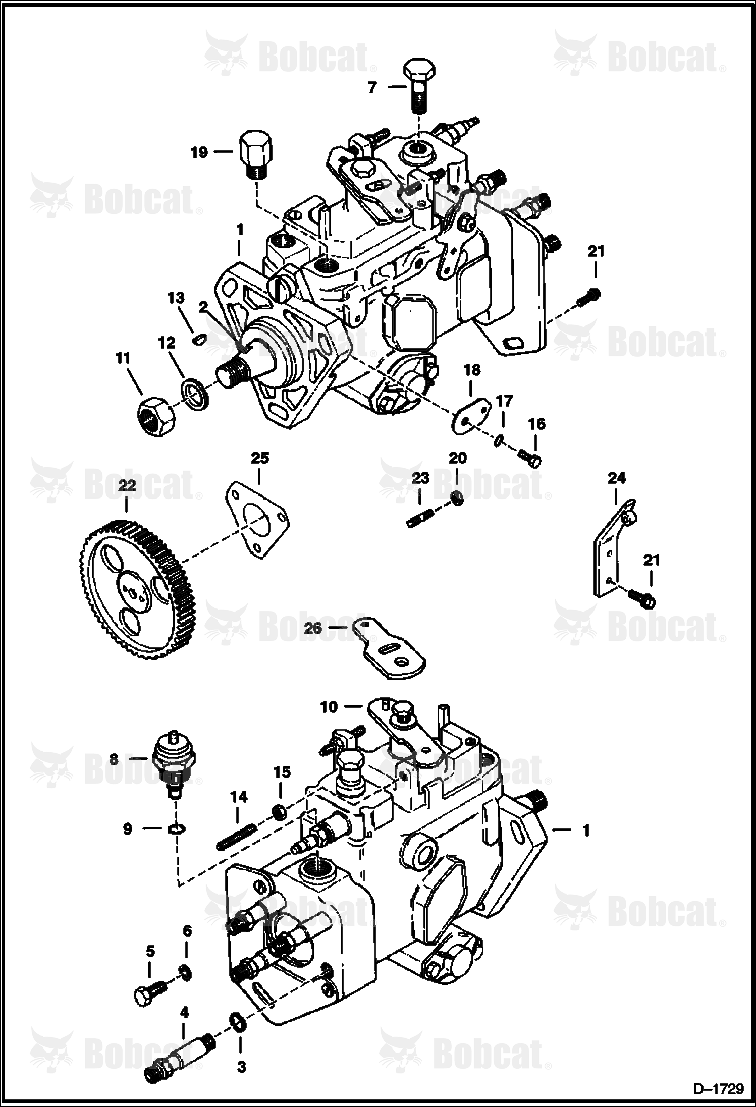 Injection Pump