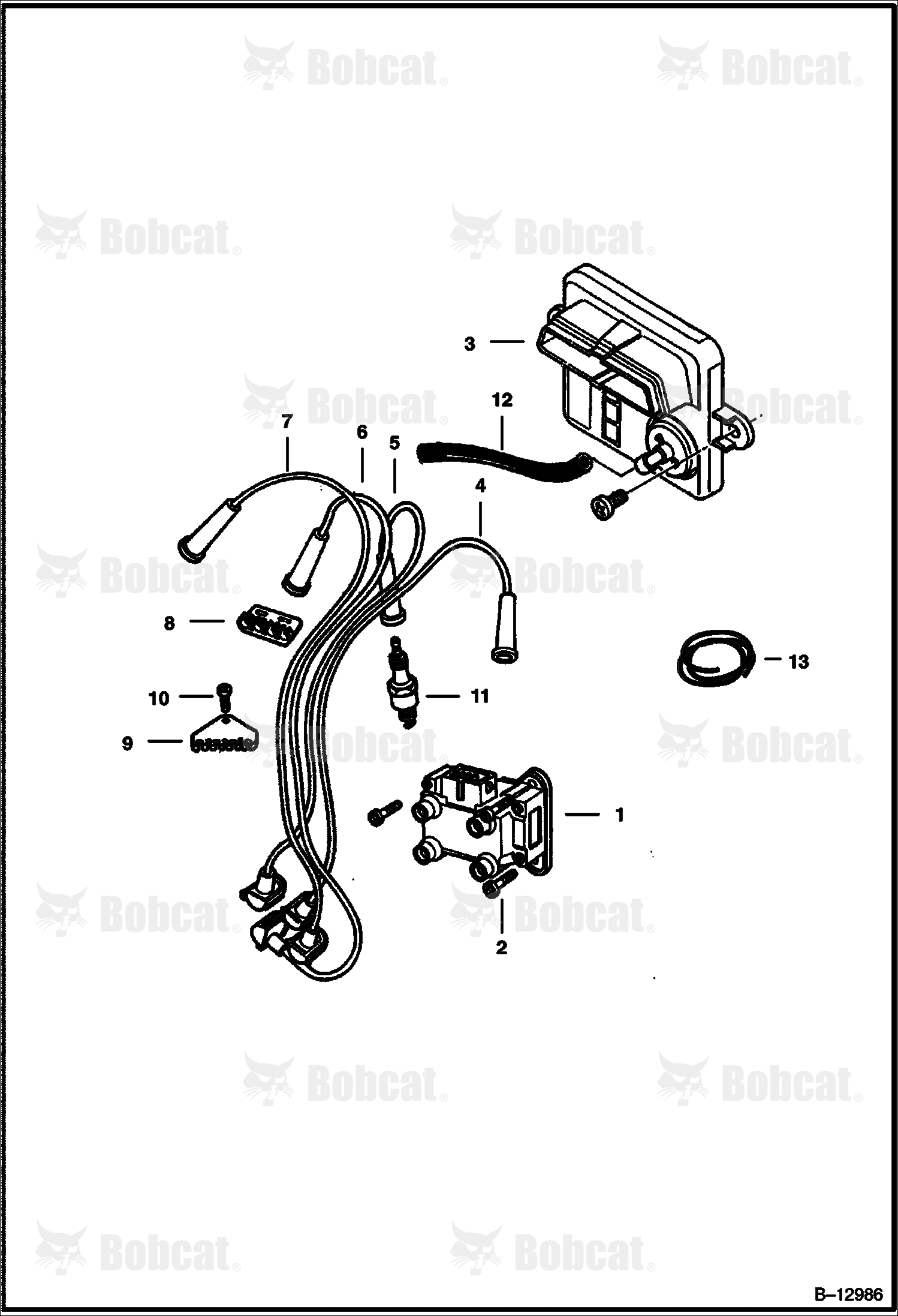 Ignition System 506912001 & Above
