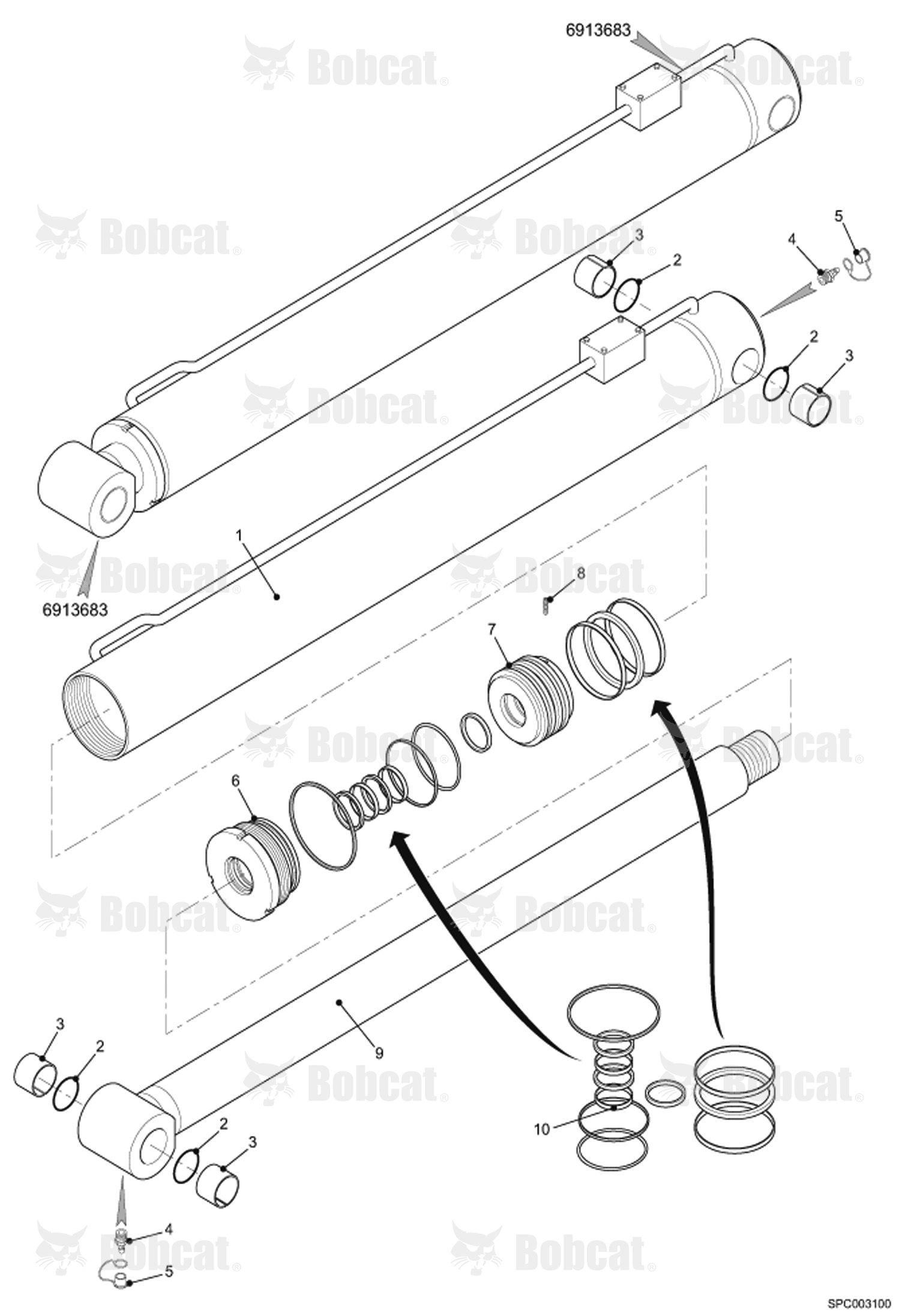Lift Cylinder (6913683)
