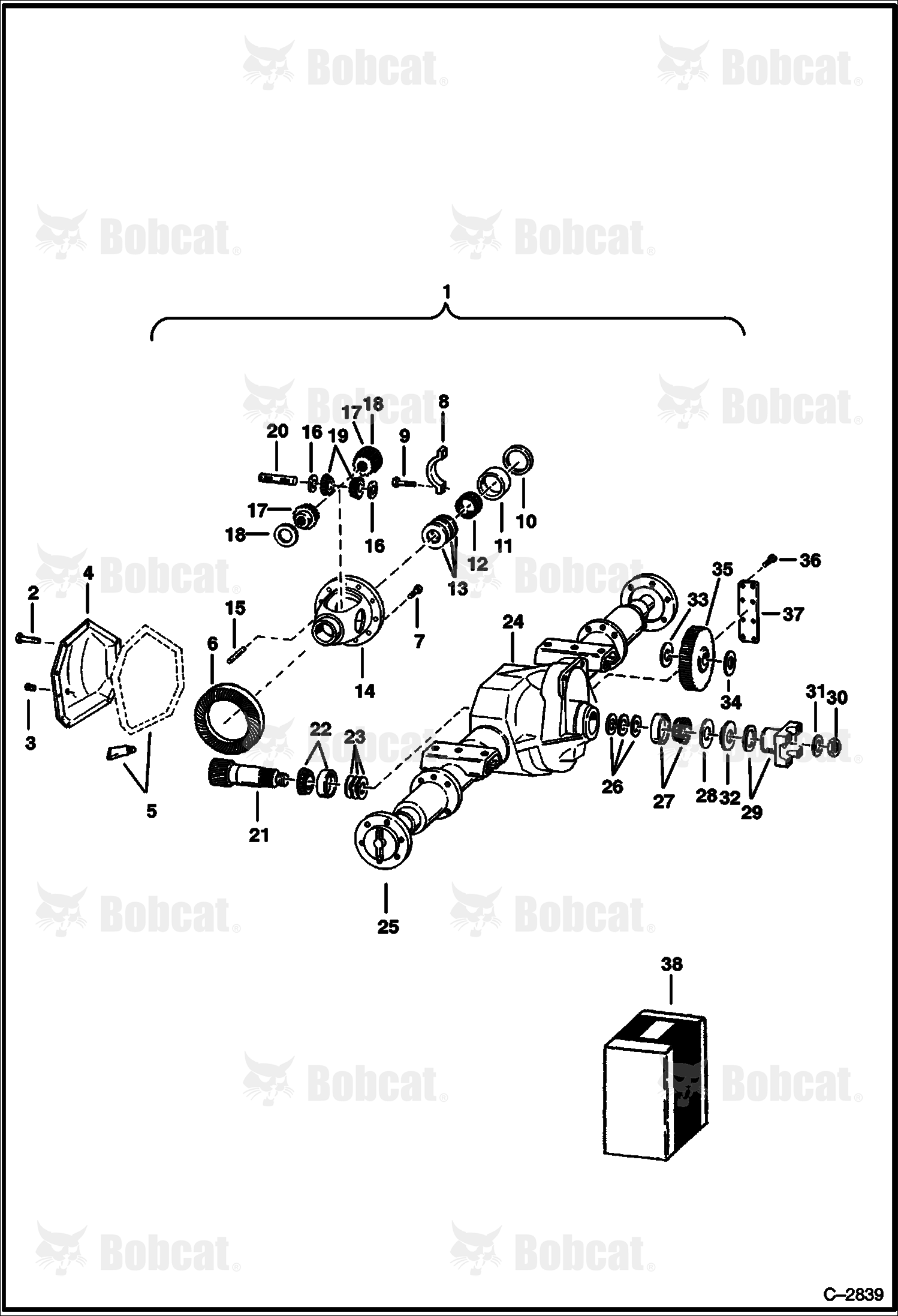 Rear Differential (Standard)