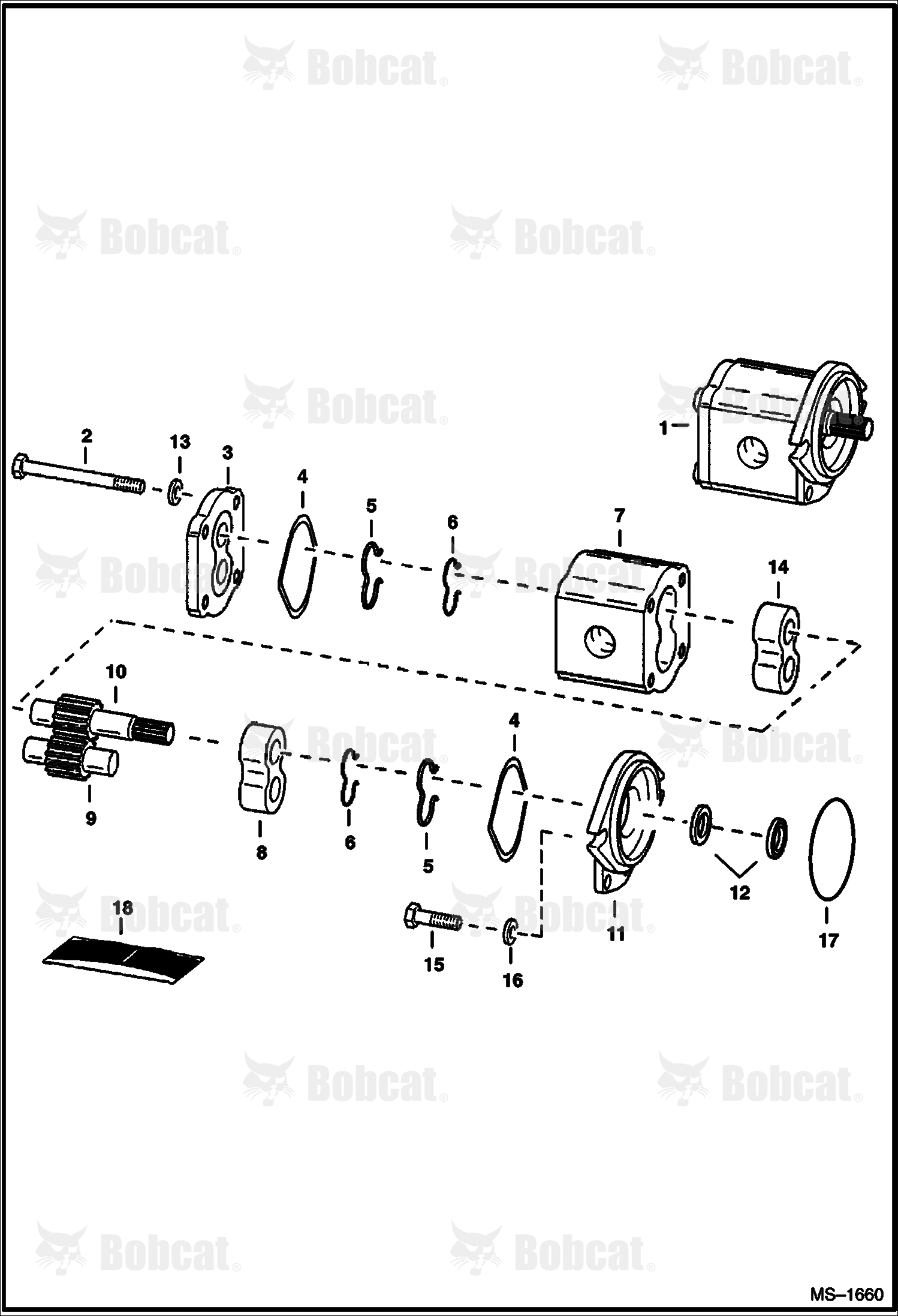 Gear Pump