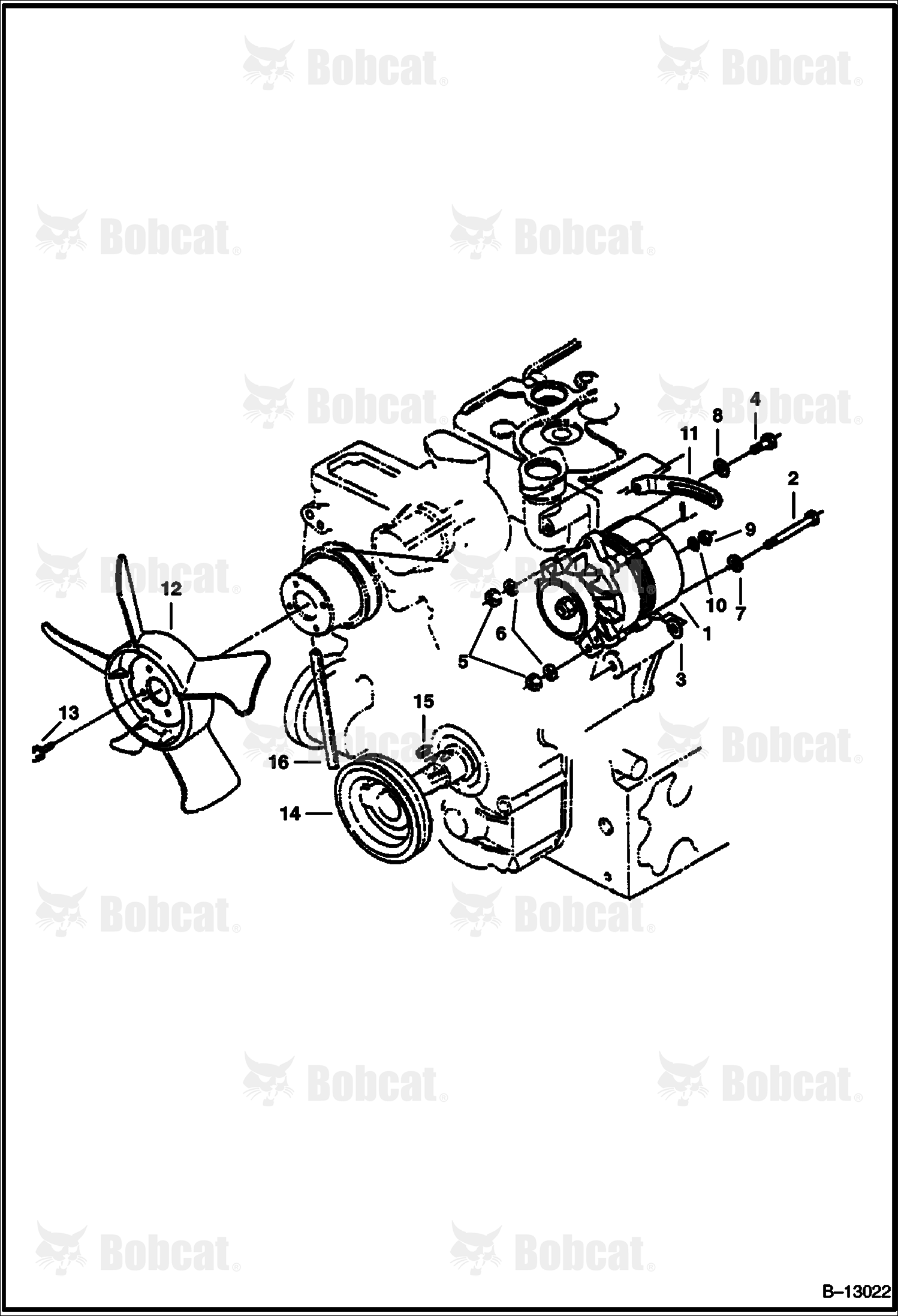 Fan & Alternator