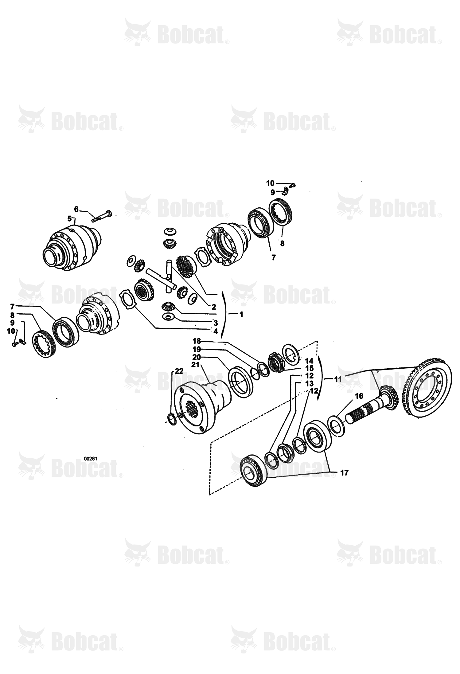Rear Axle - Differential